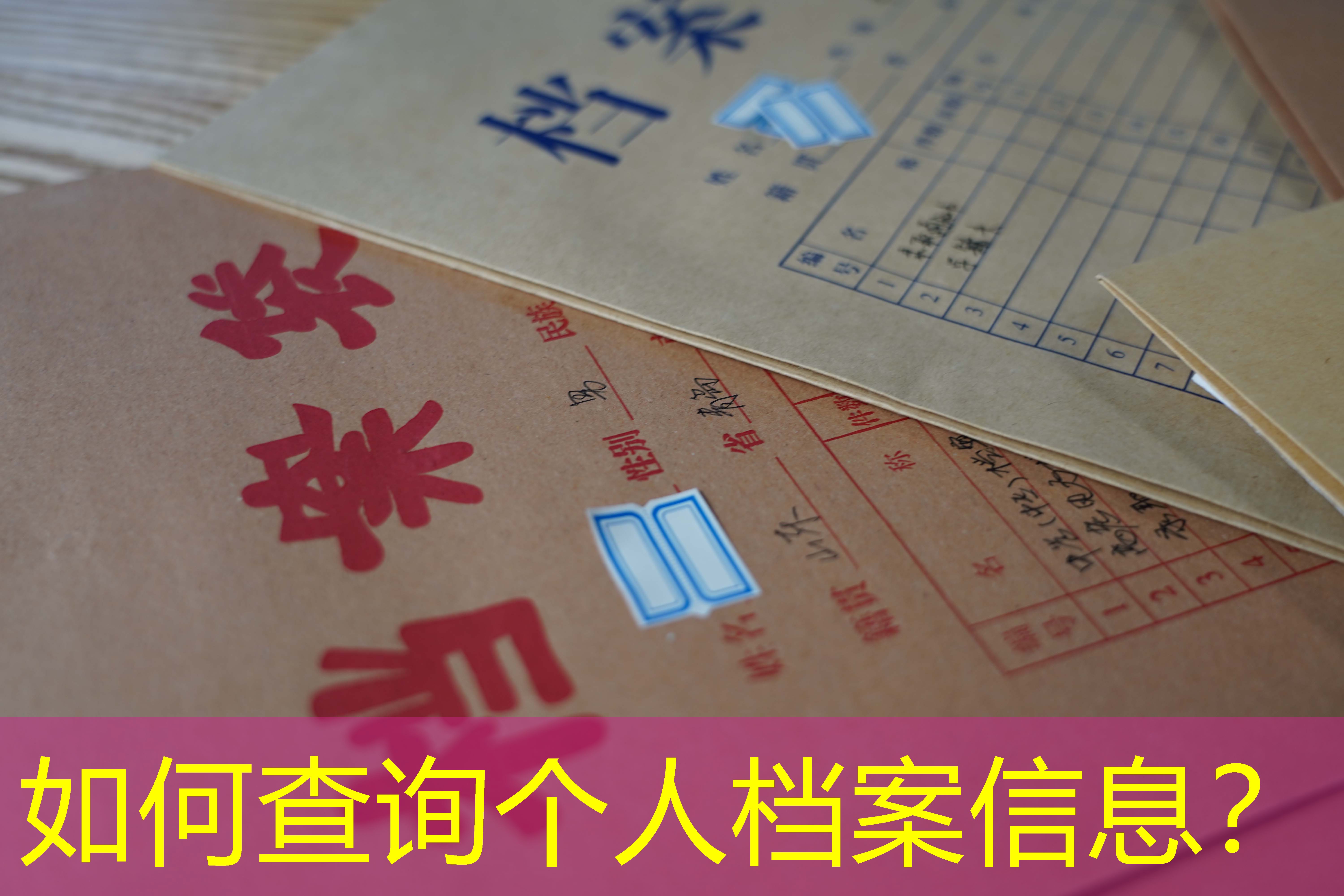 档案查询