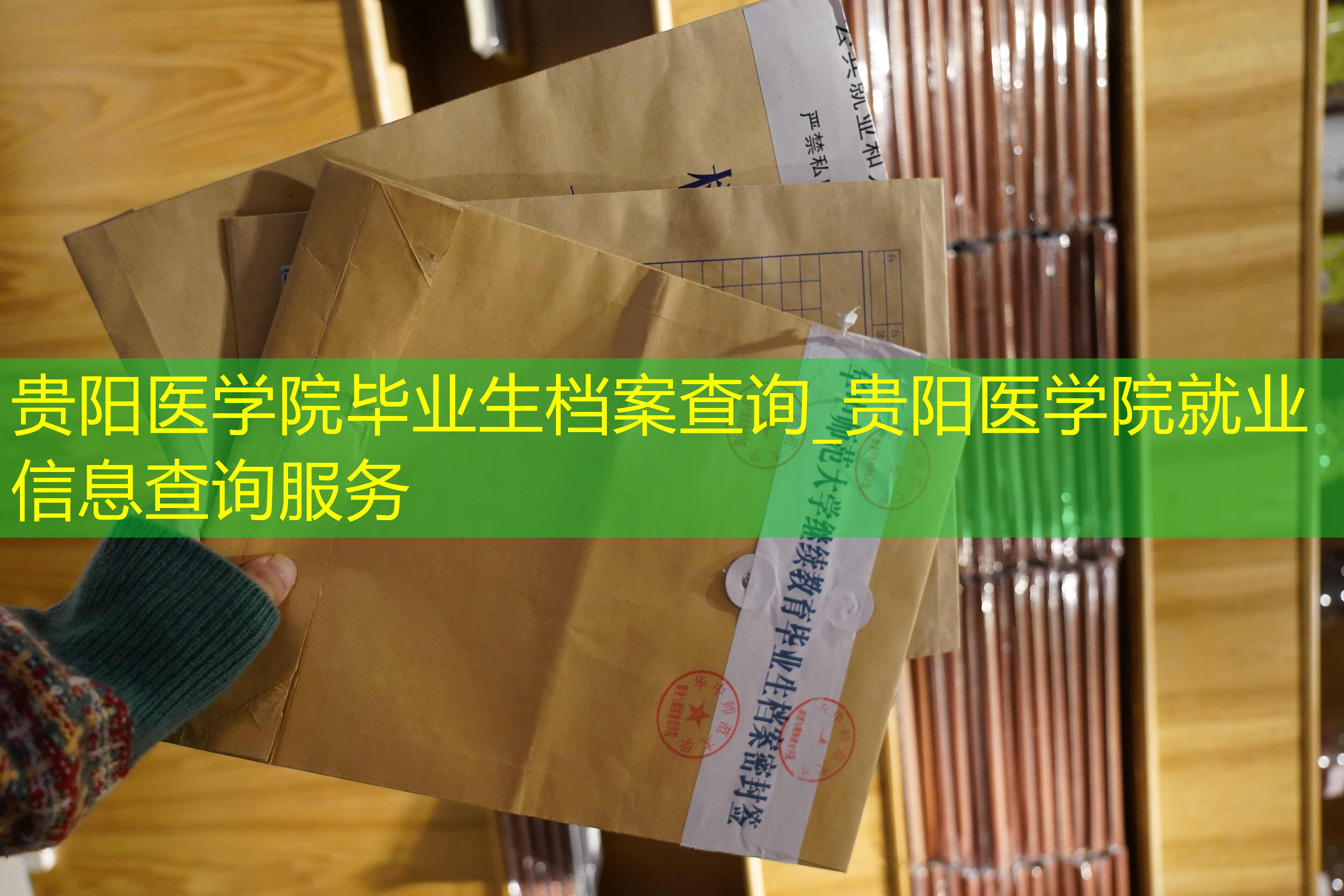 档案查询