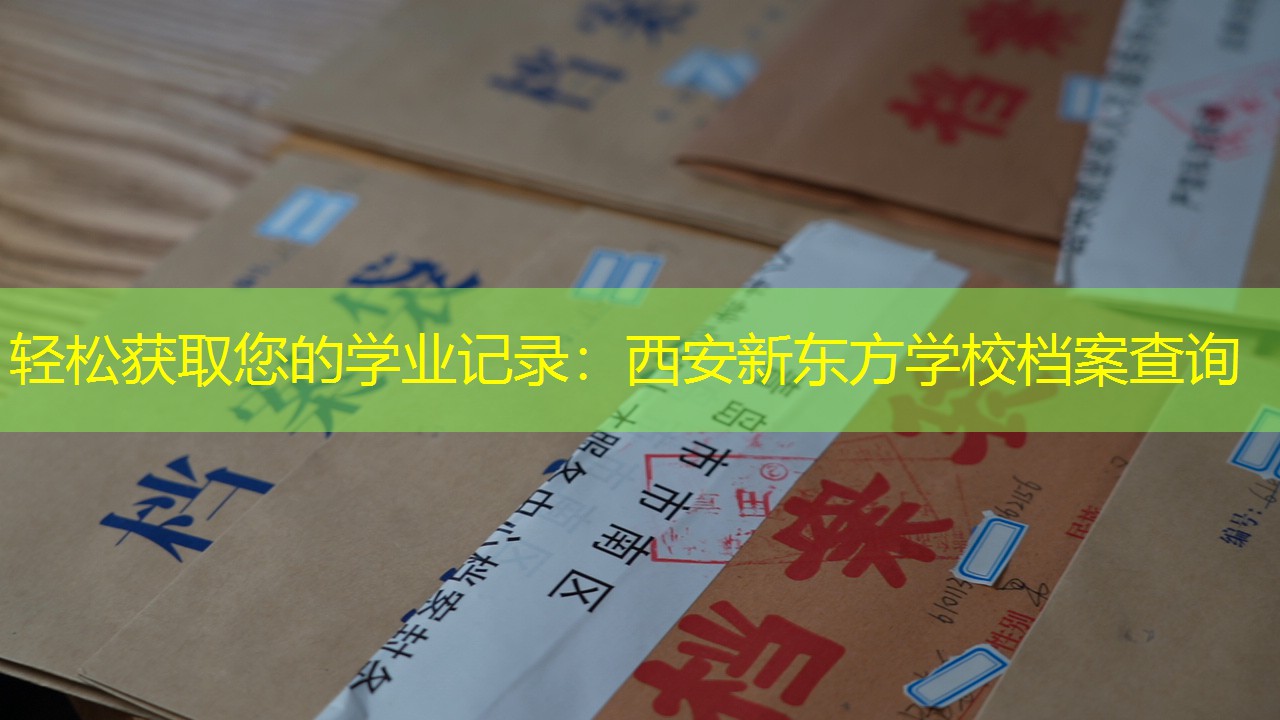 档案查询