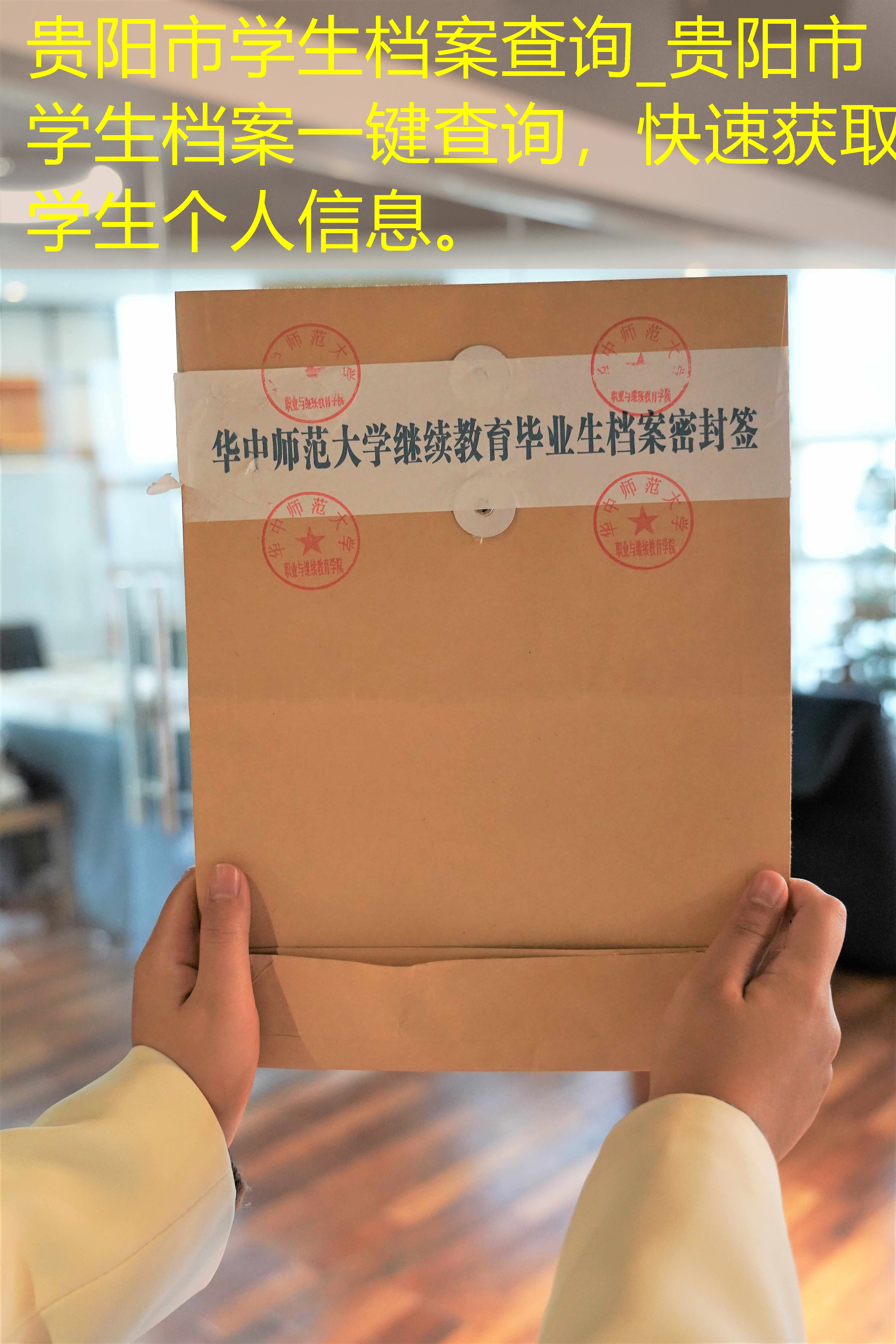 档案查询