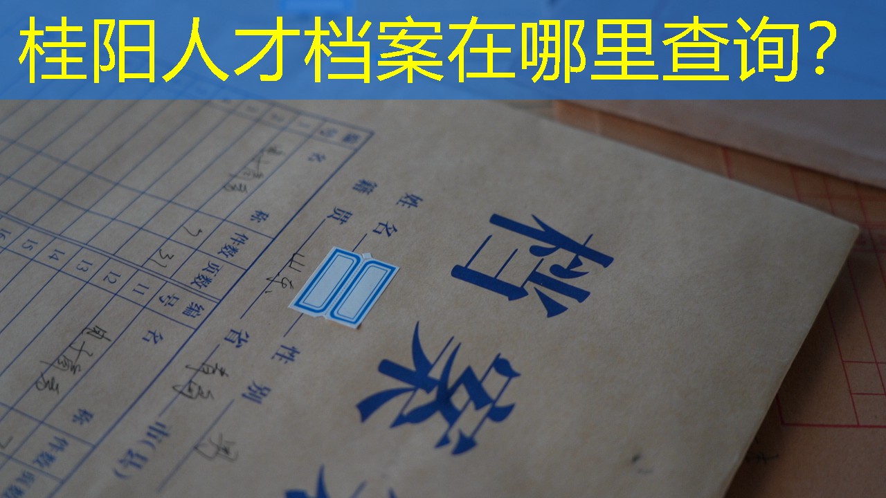 档案查询