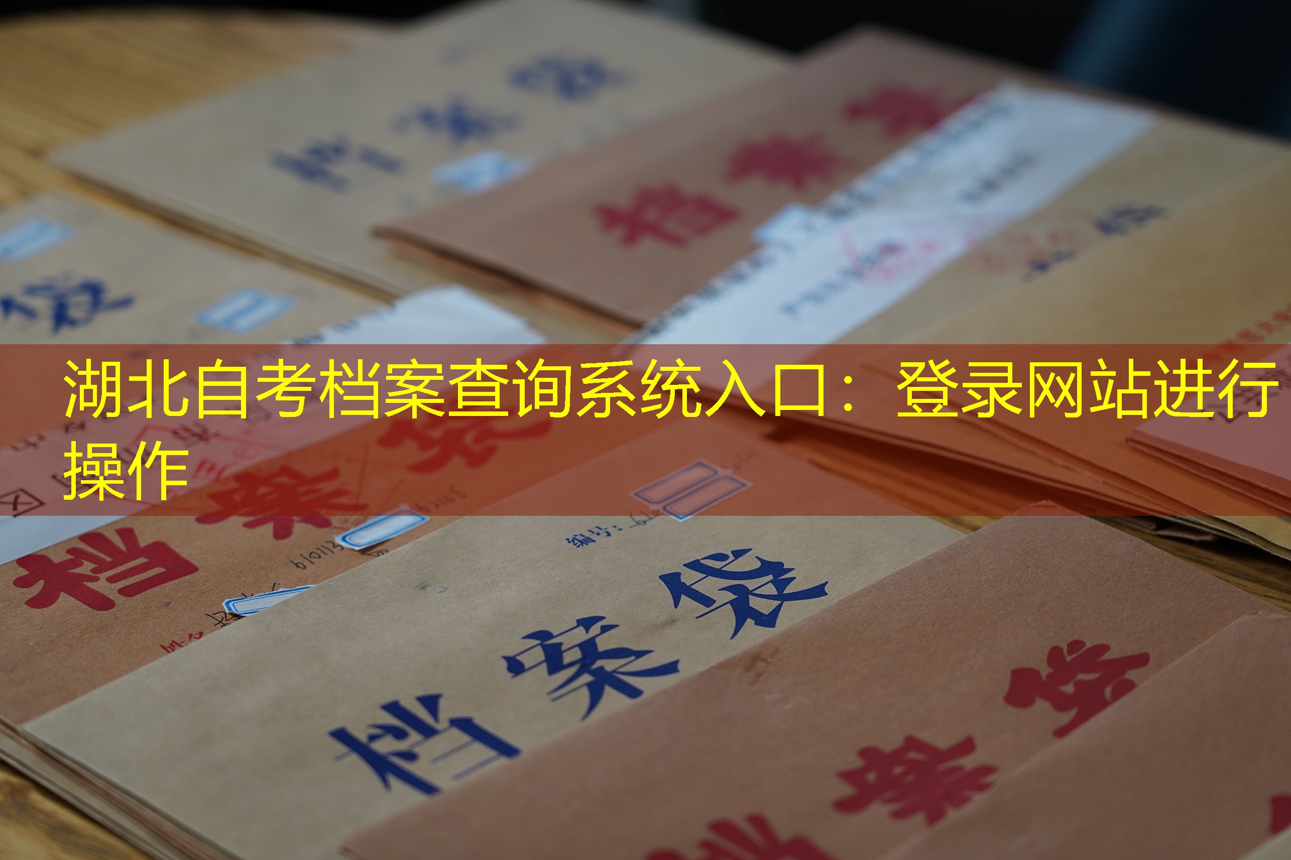 档案查询