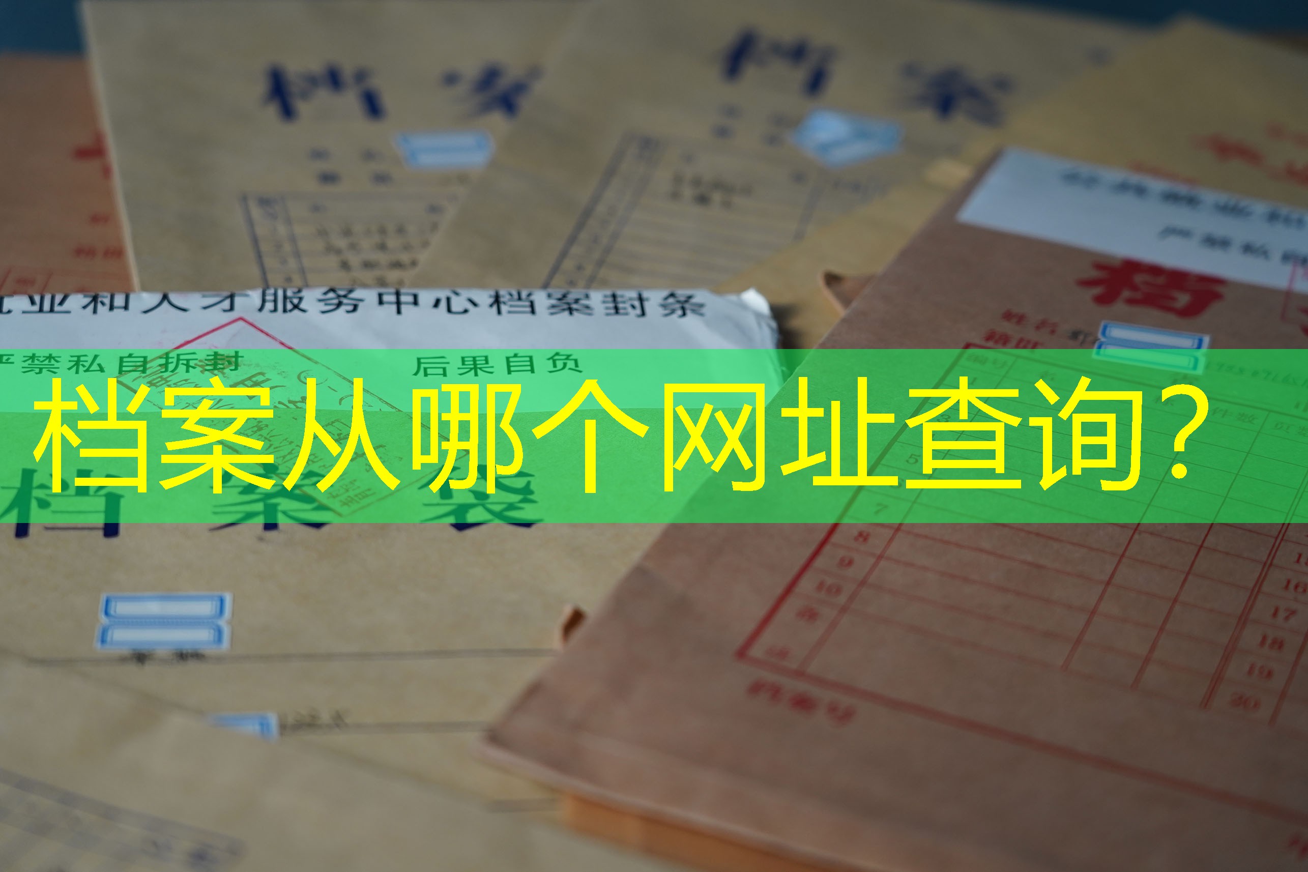 档案查询