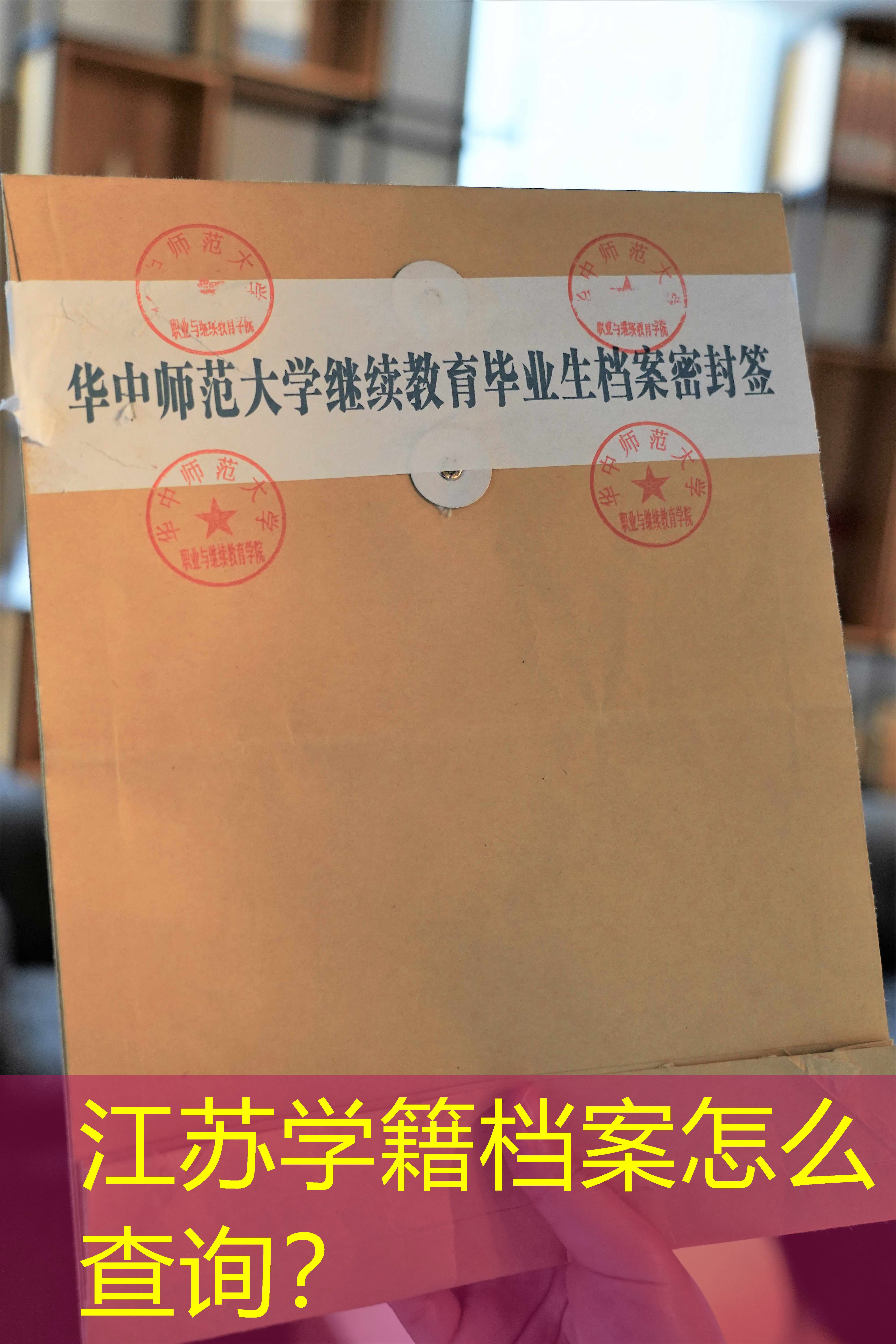 档案查询