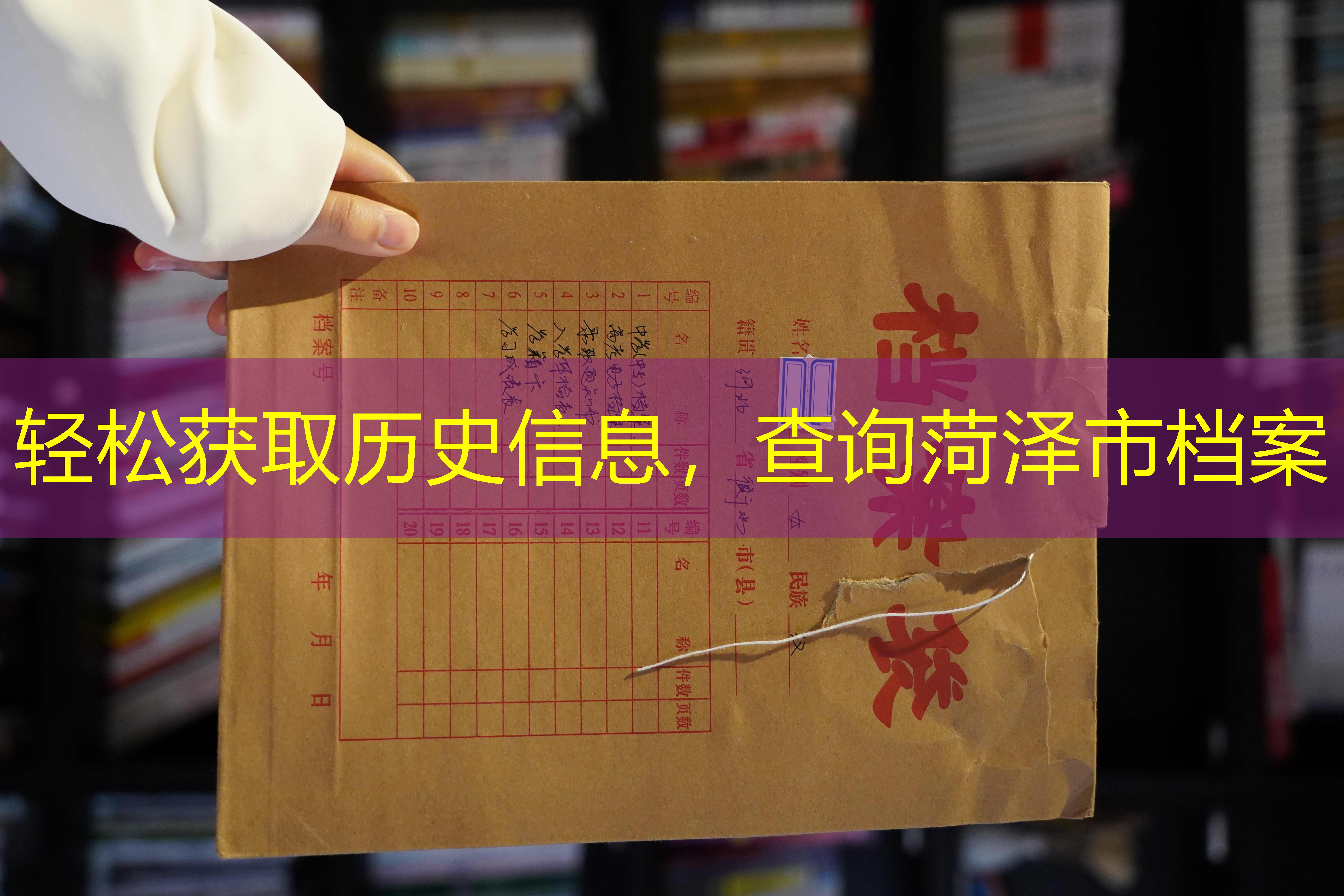 档案查询