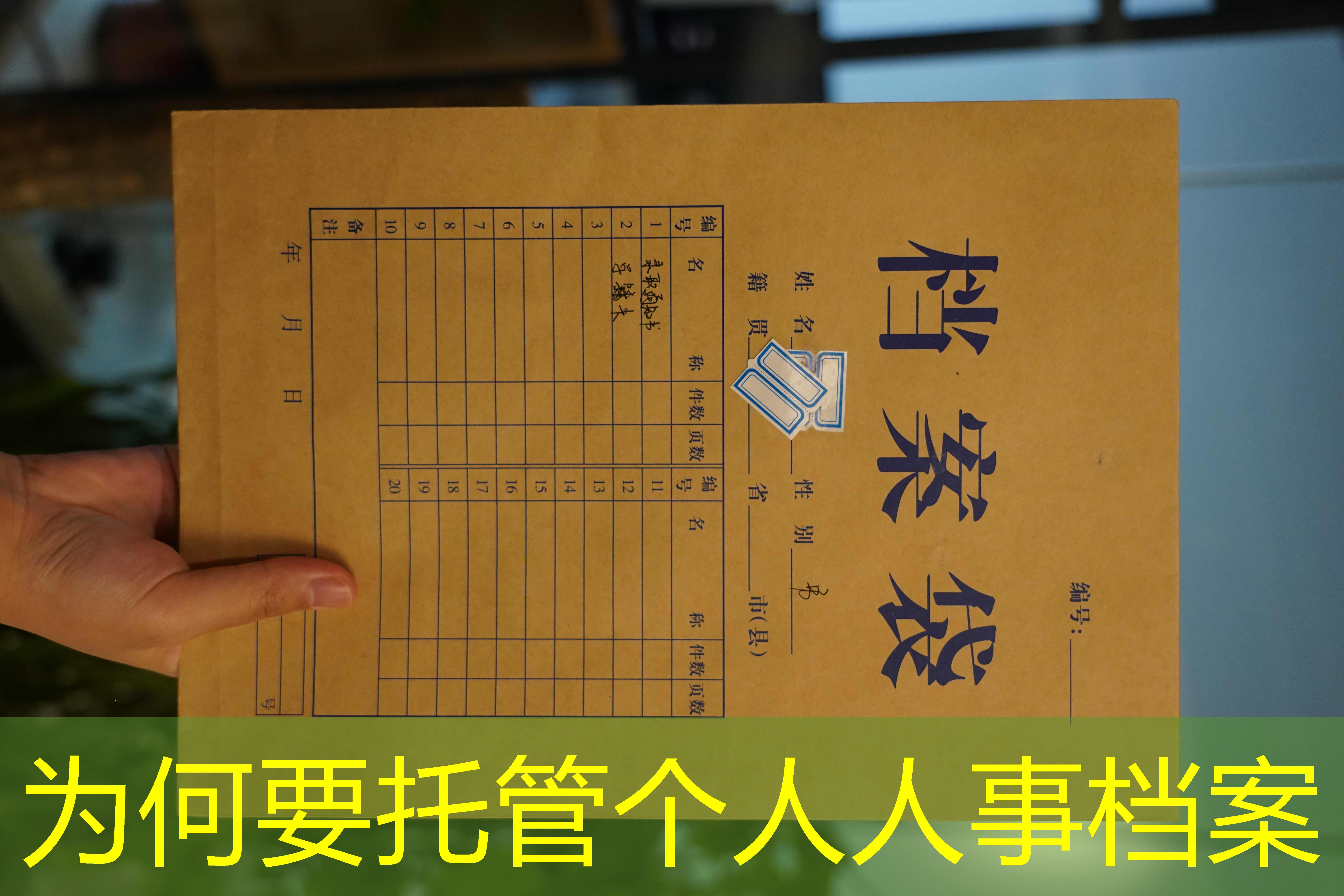 档案查询