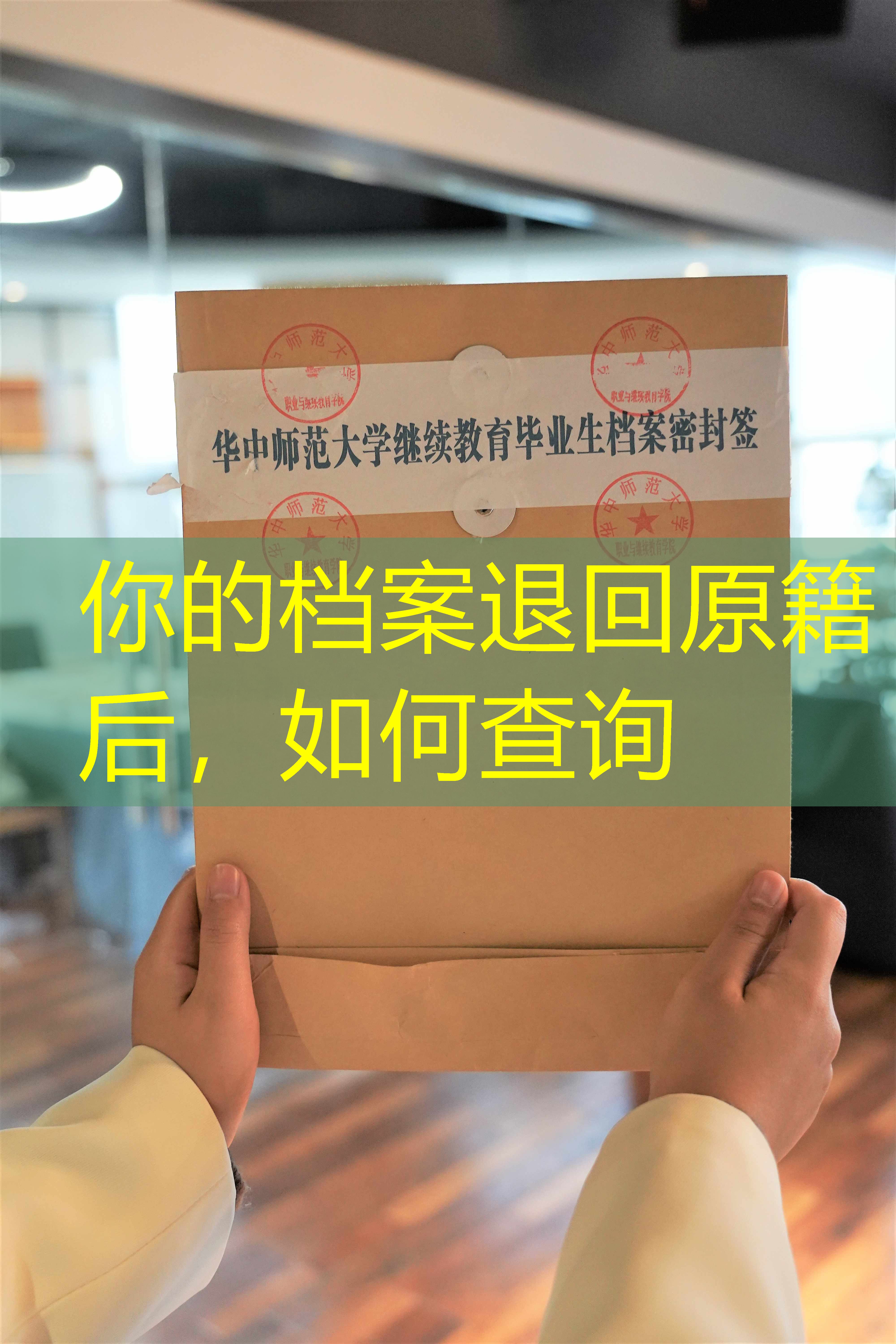 档案查询