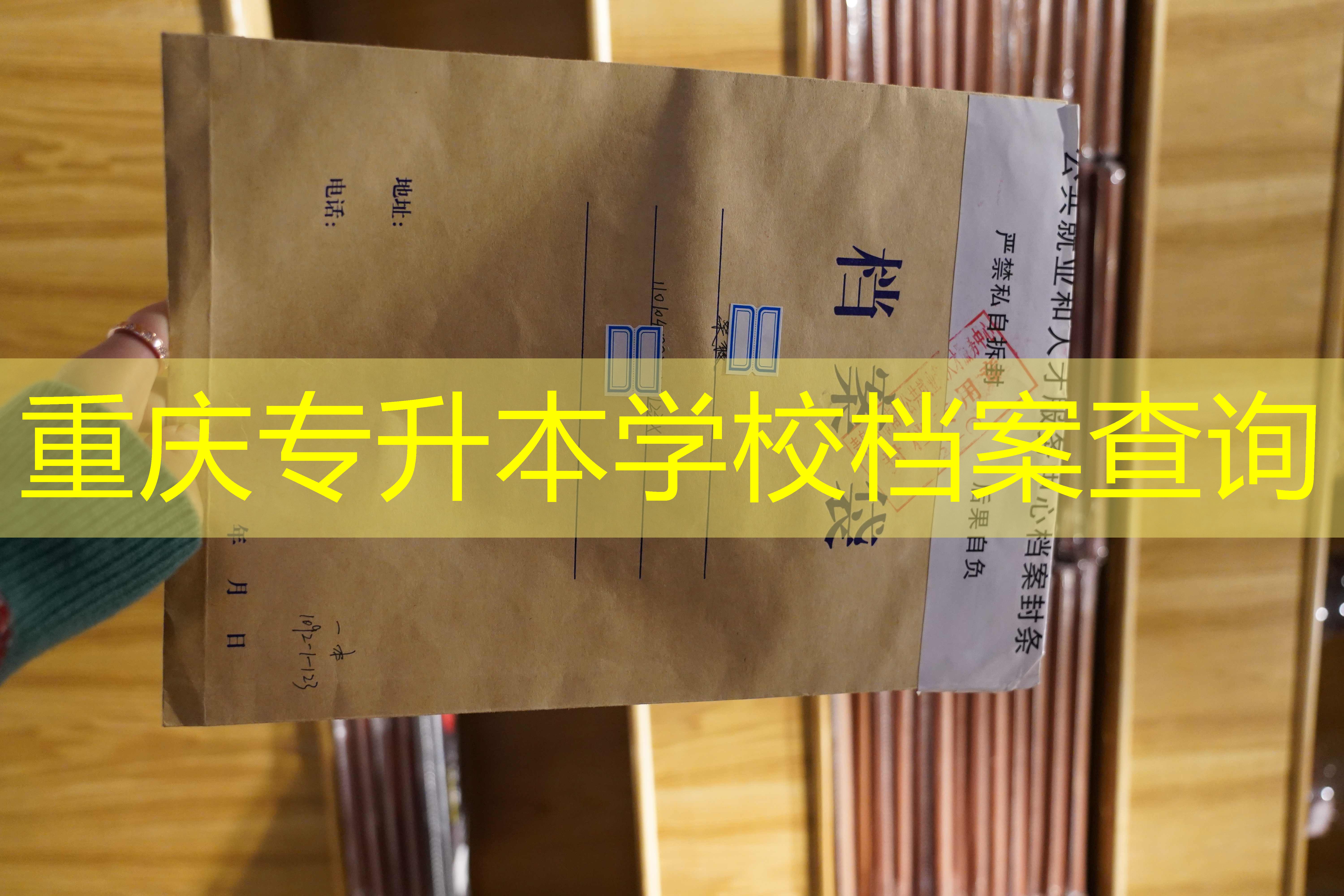 档案查询