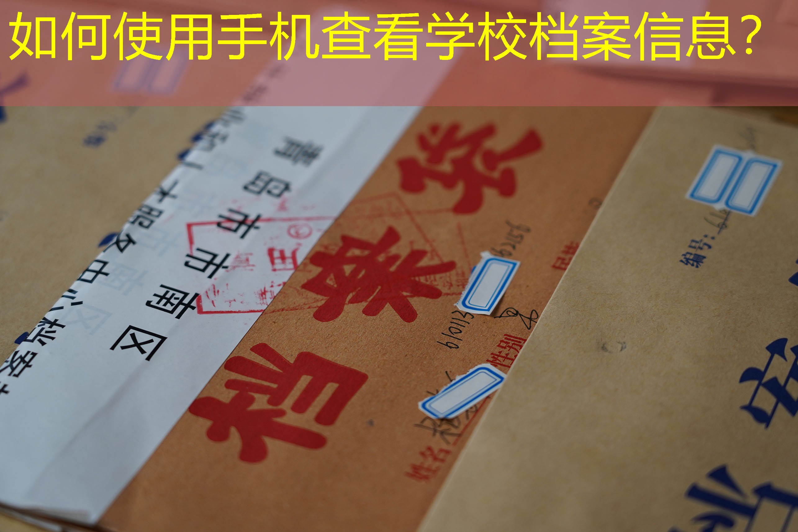 档案查询