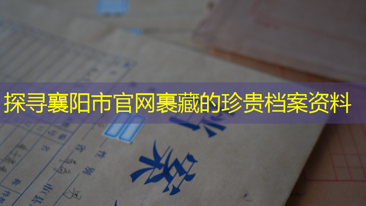 档案查询