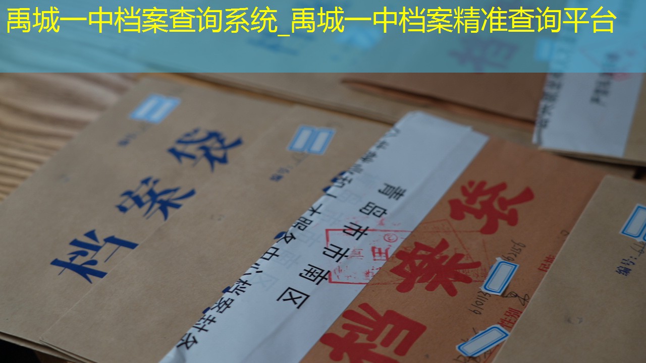 档案查询