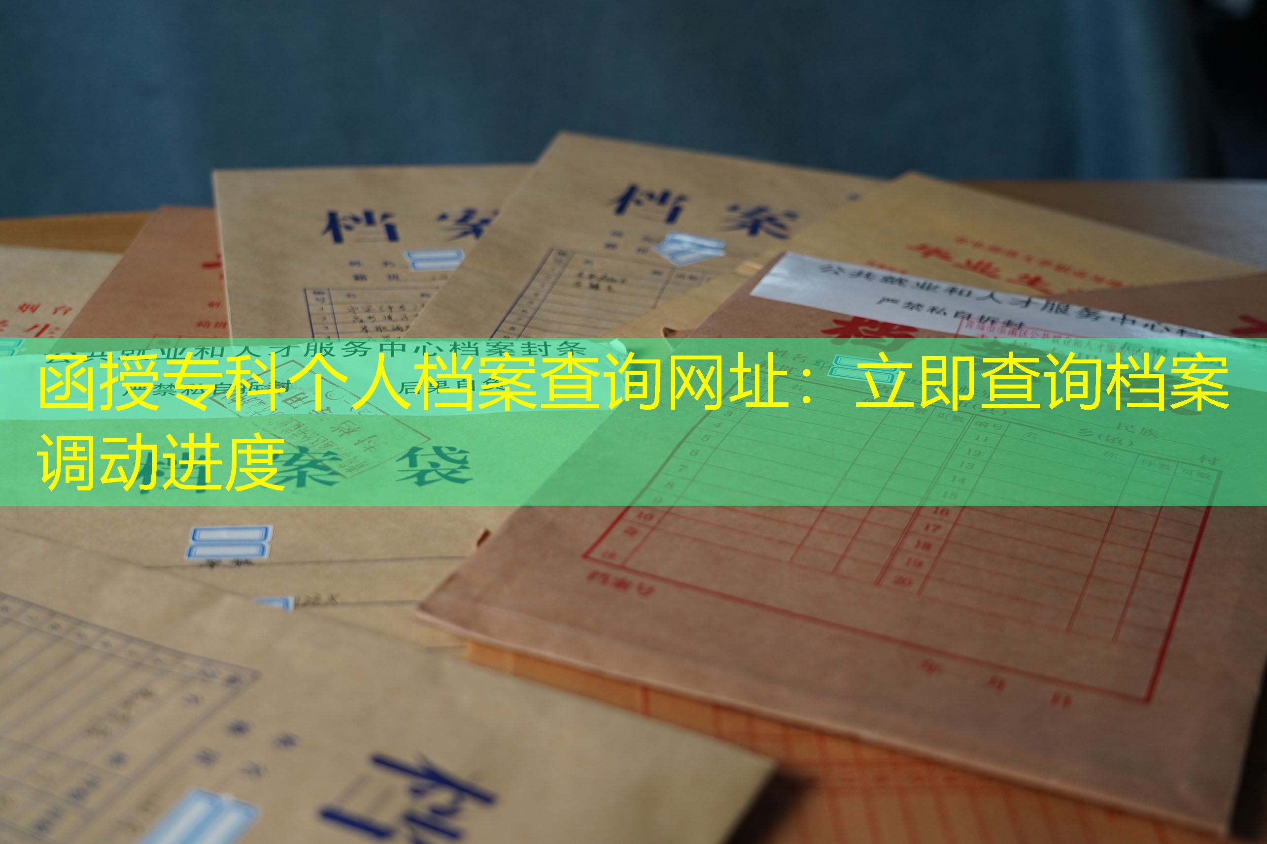 档案查询