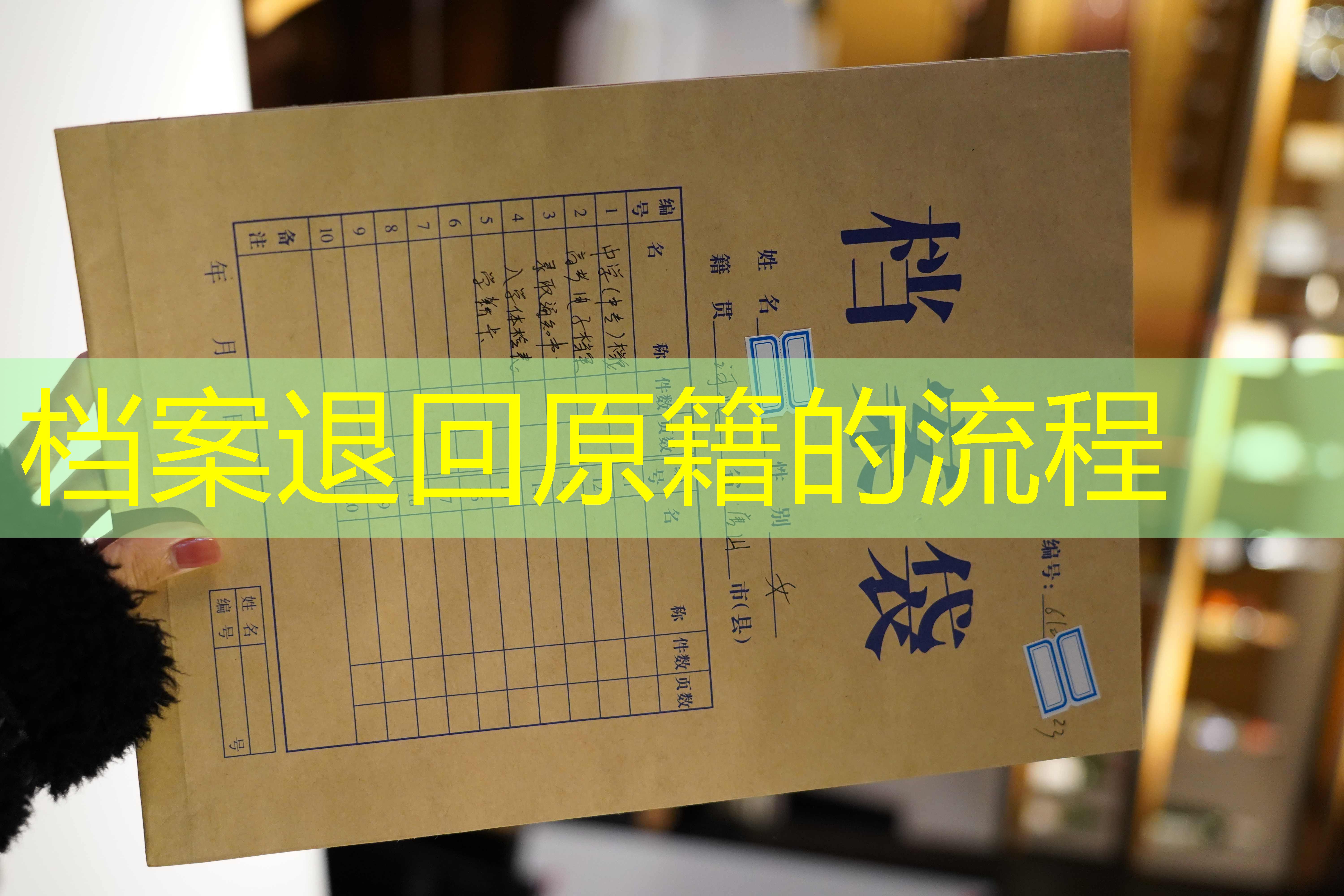 档案查询