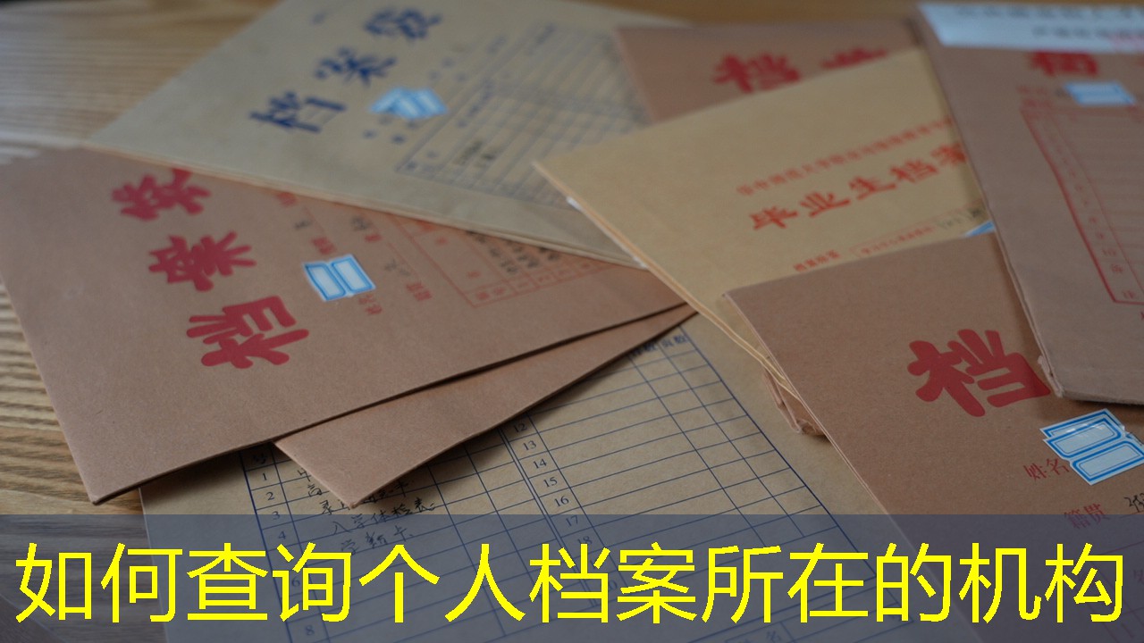 档案查询