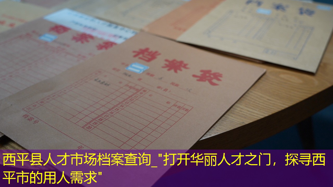 档案查询