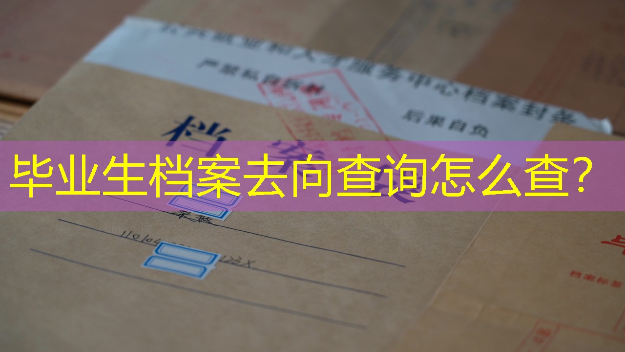 档案查询