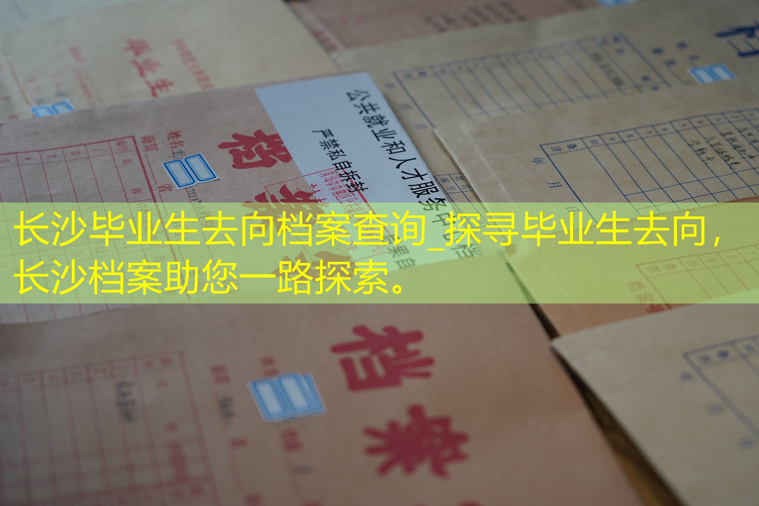 档案查询