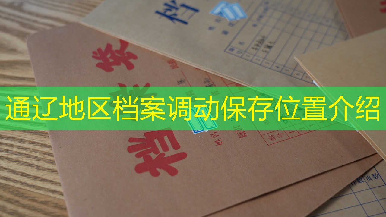 档案查询