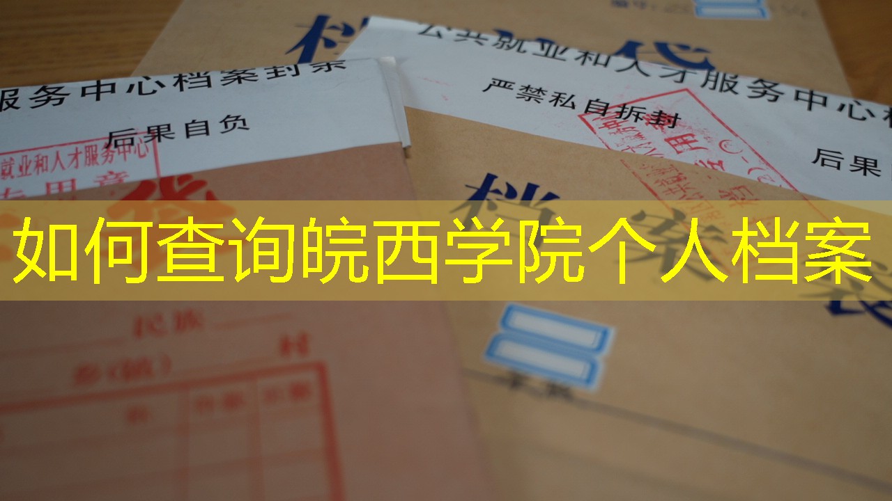 档案查询