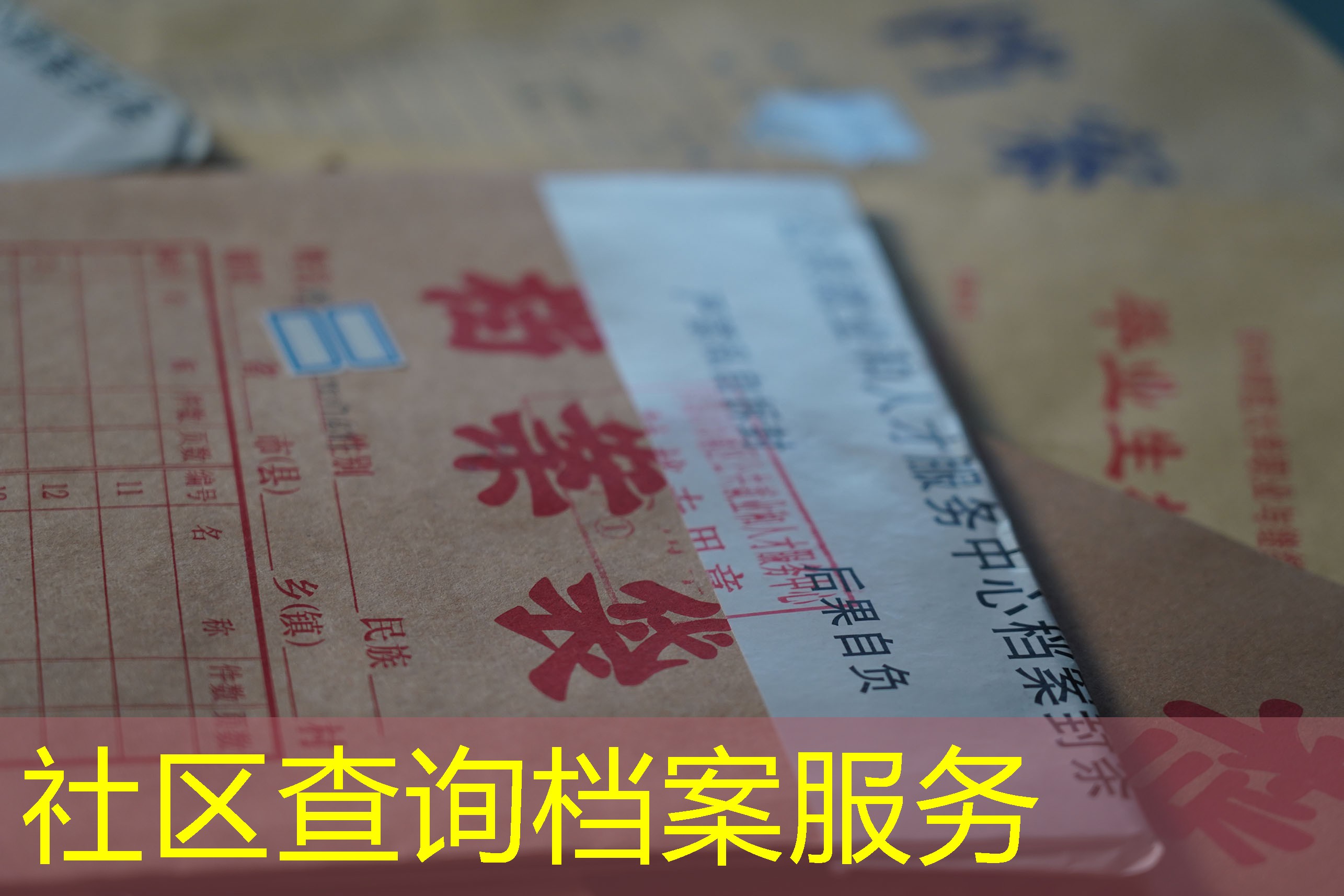 档案查询