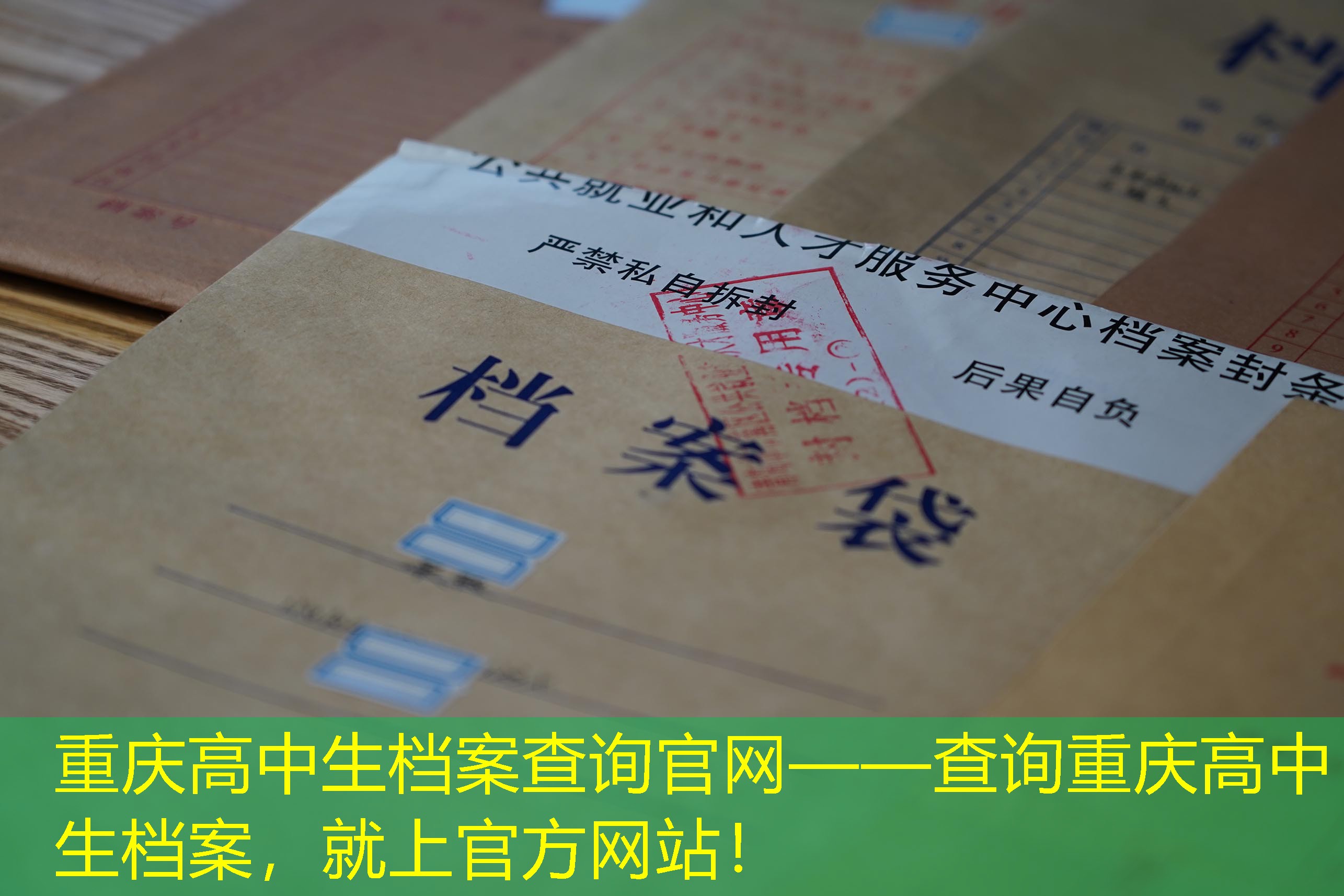 档案查询