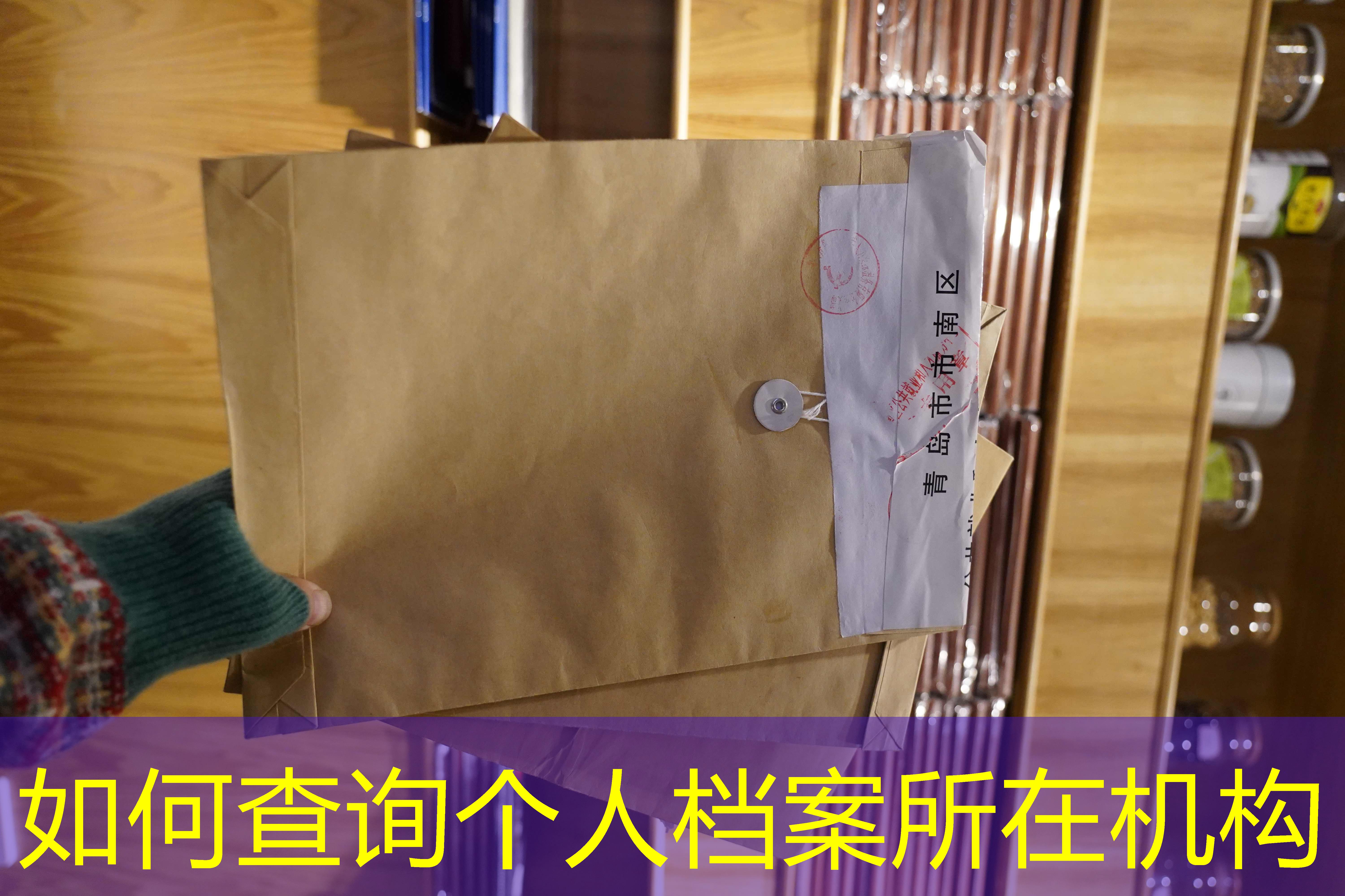 档案查询