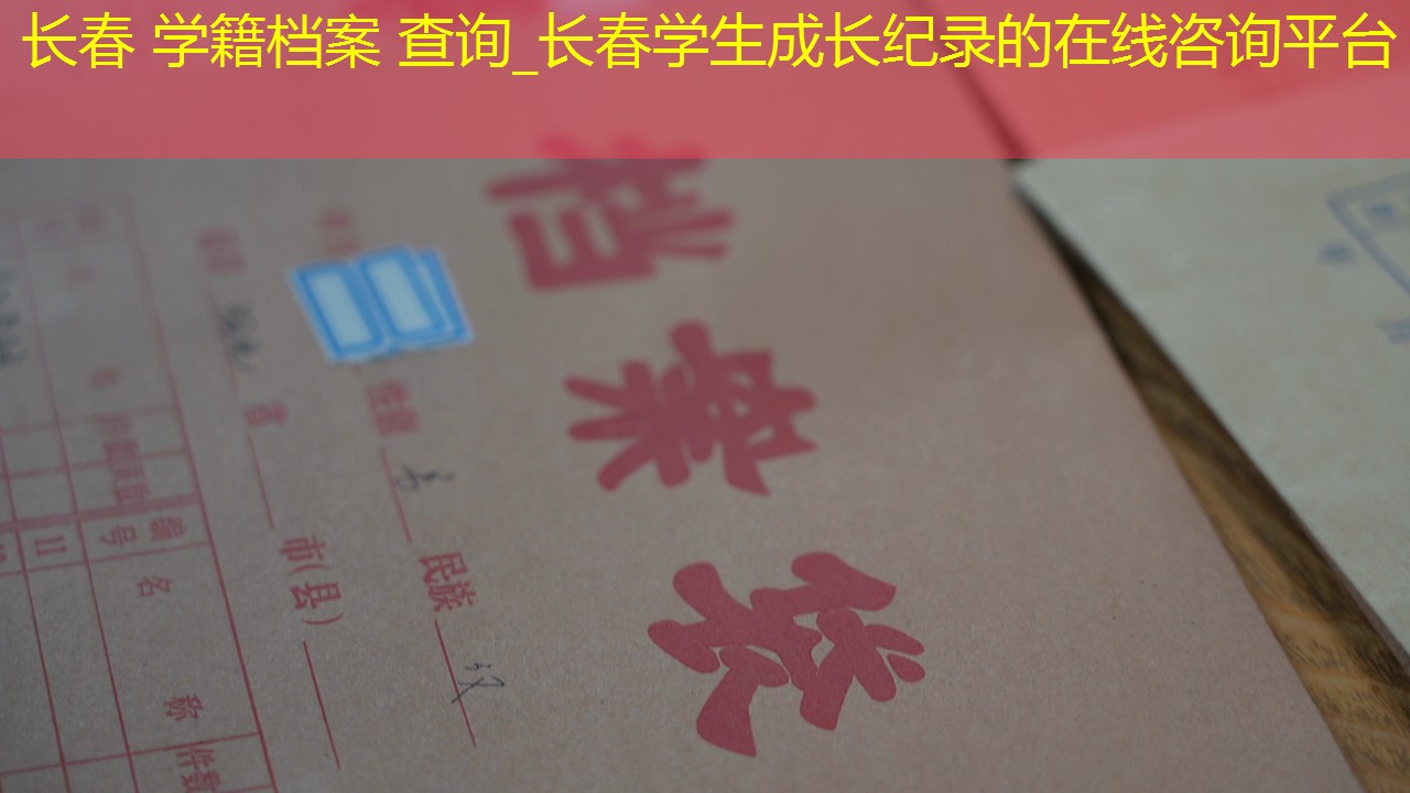 档案查询