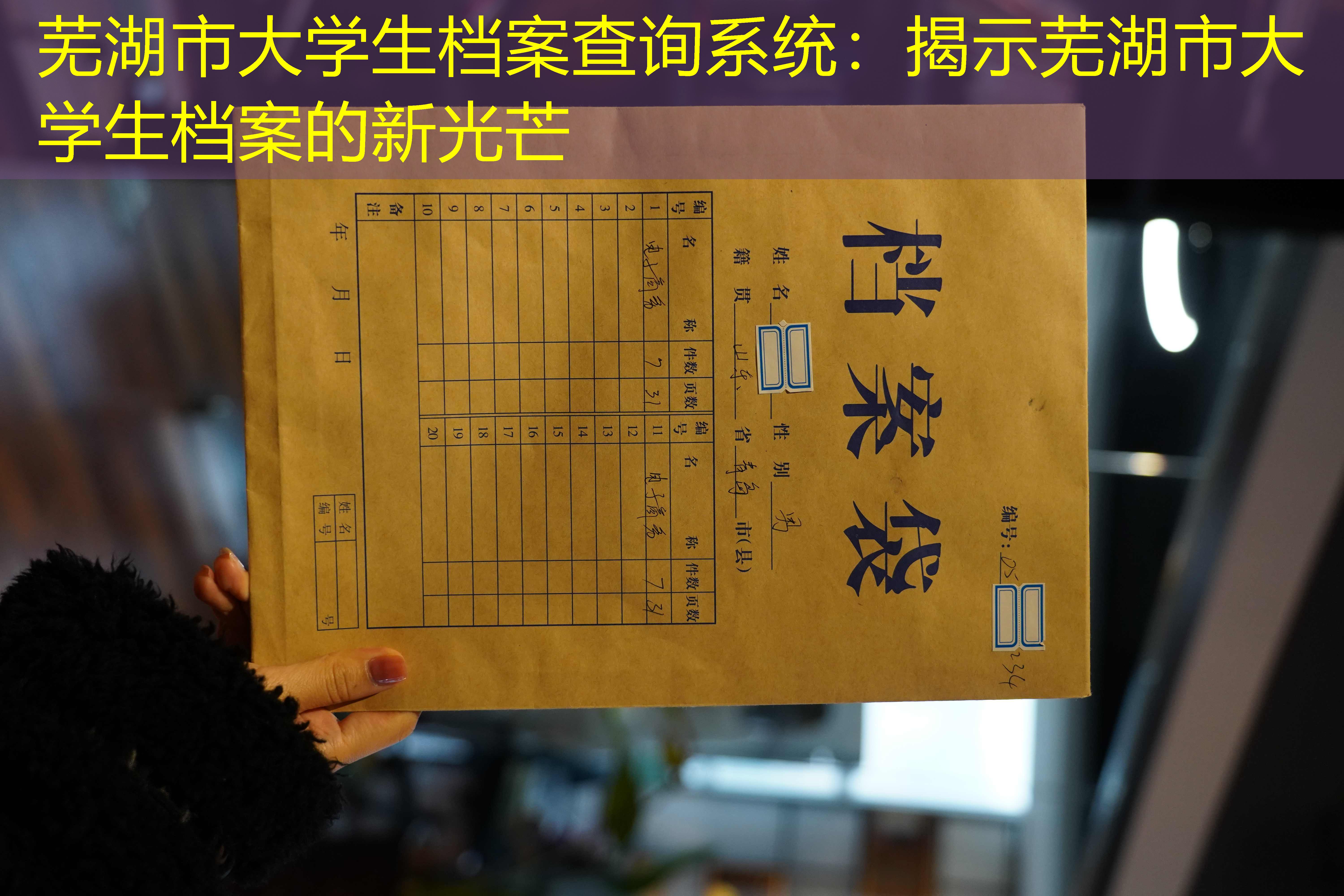 档案查询