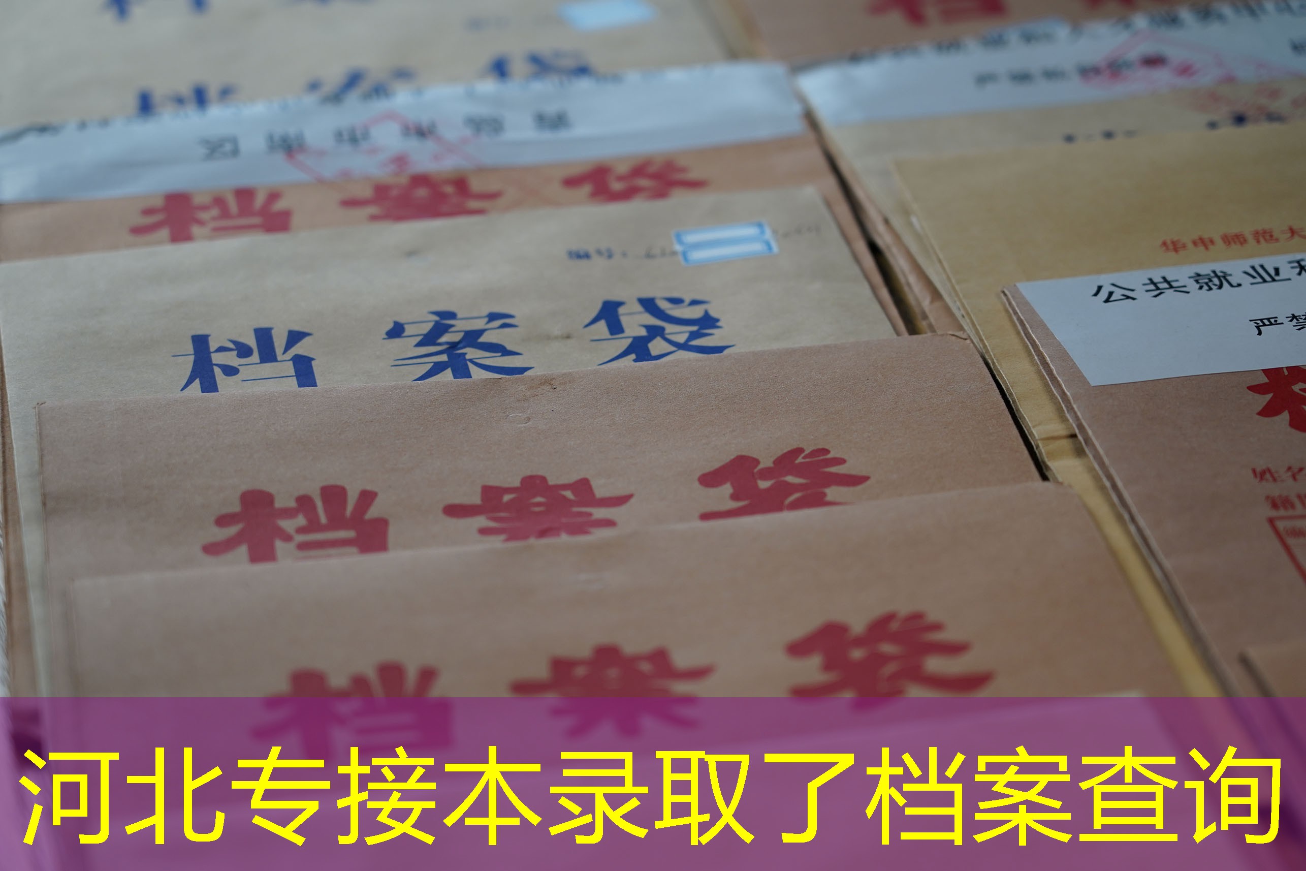 档案查询