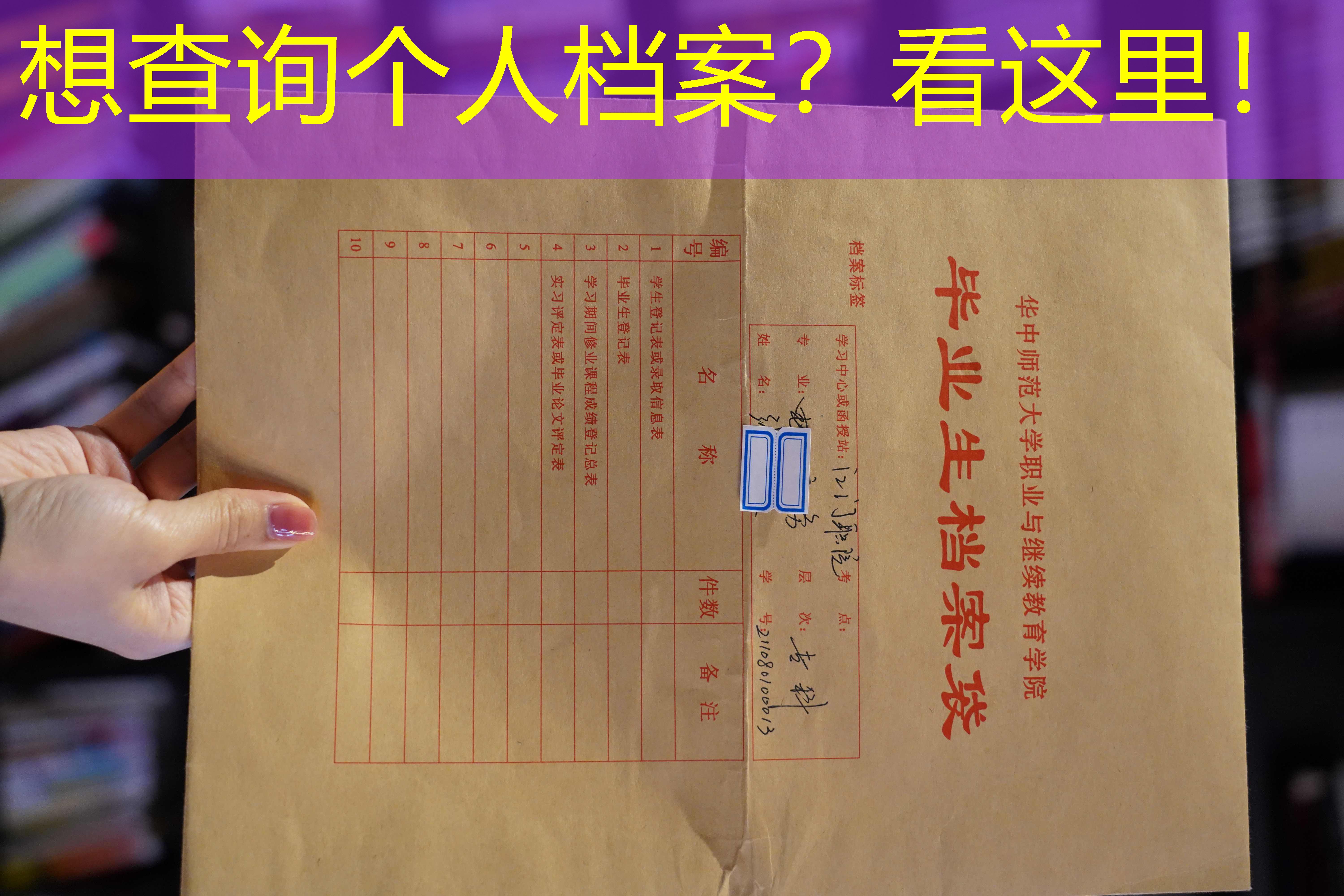 档案查询