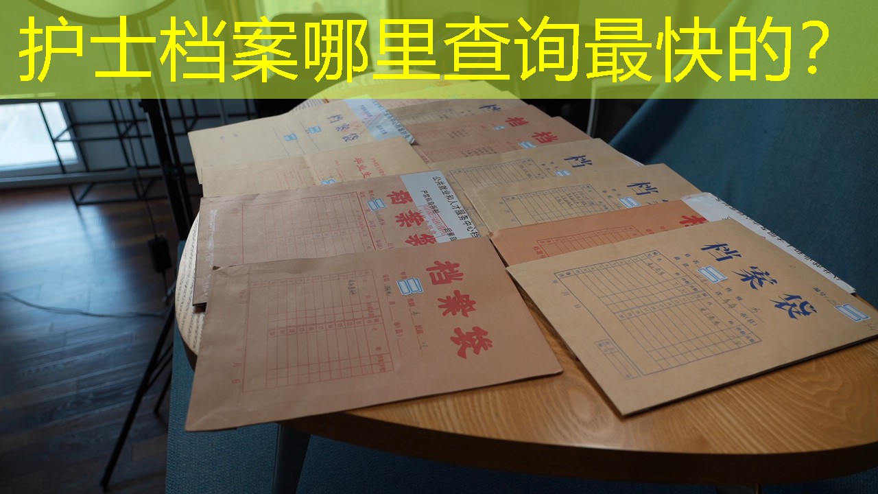 档案查询