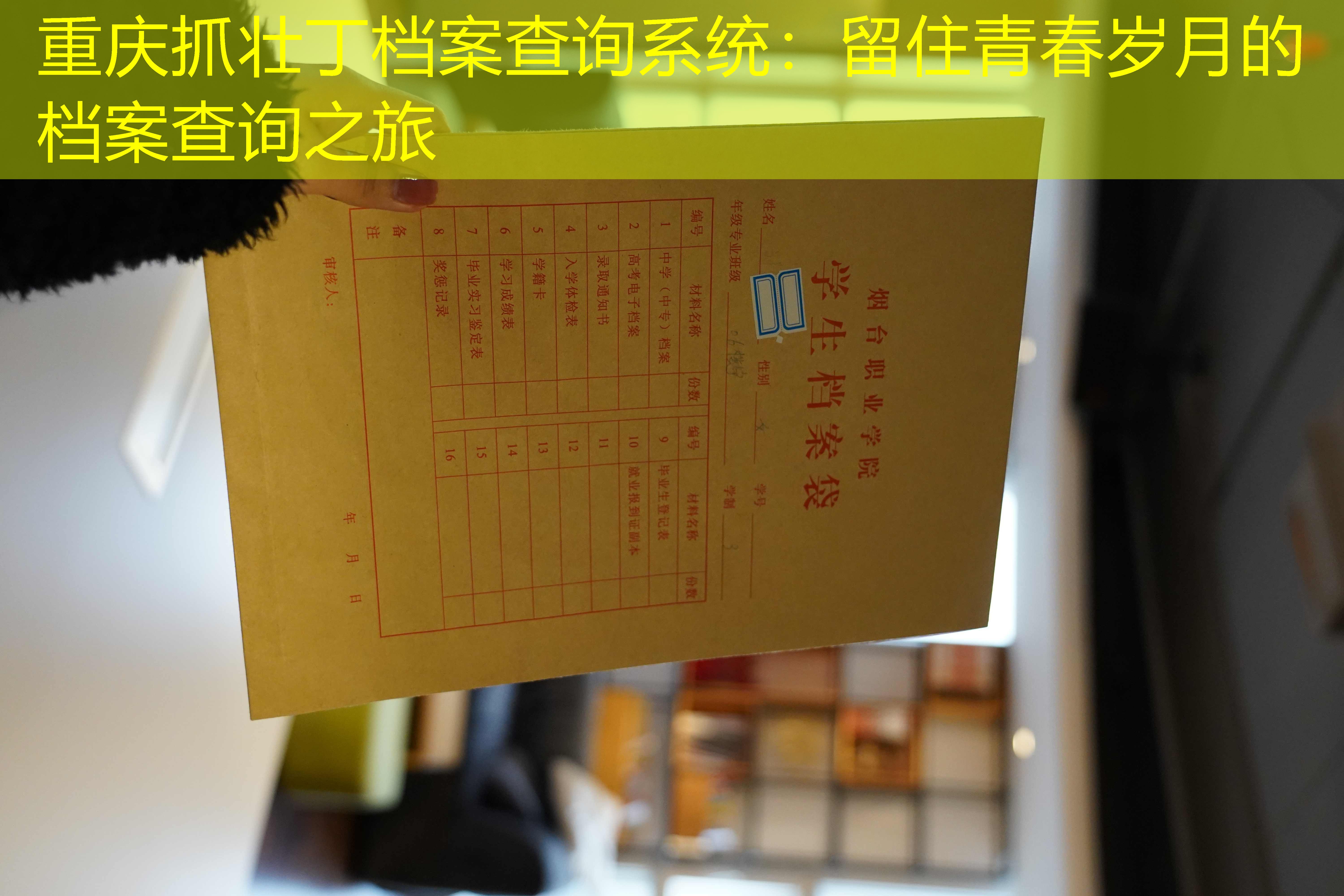 档案查询