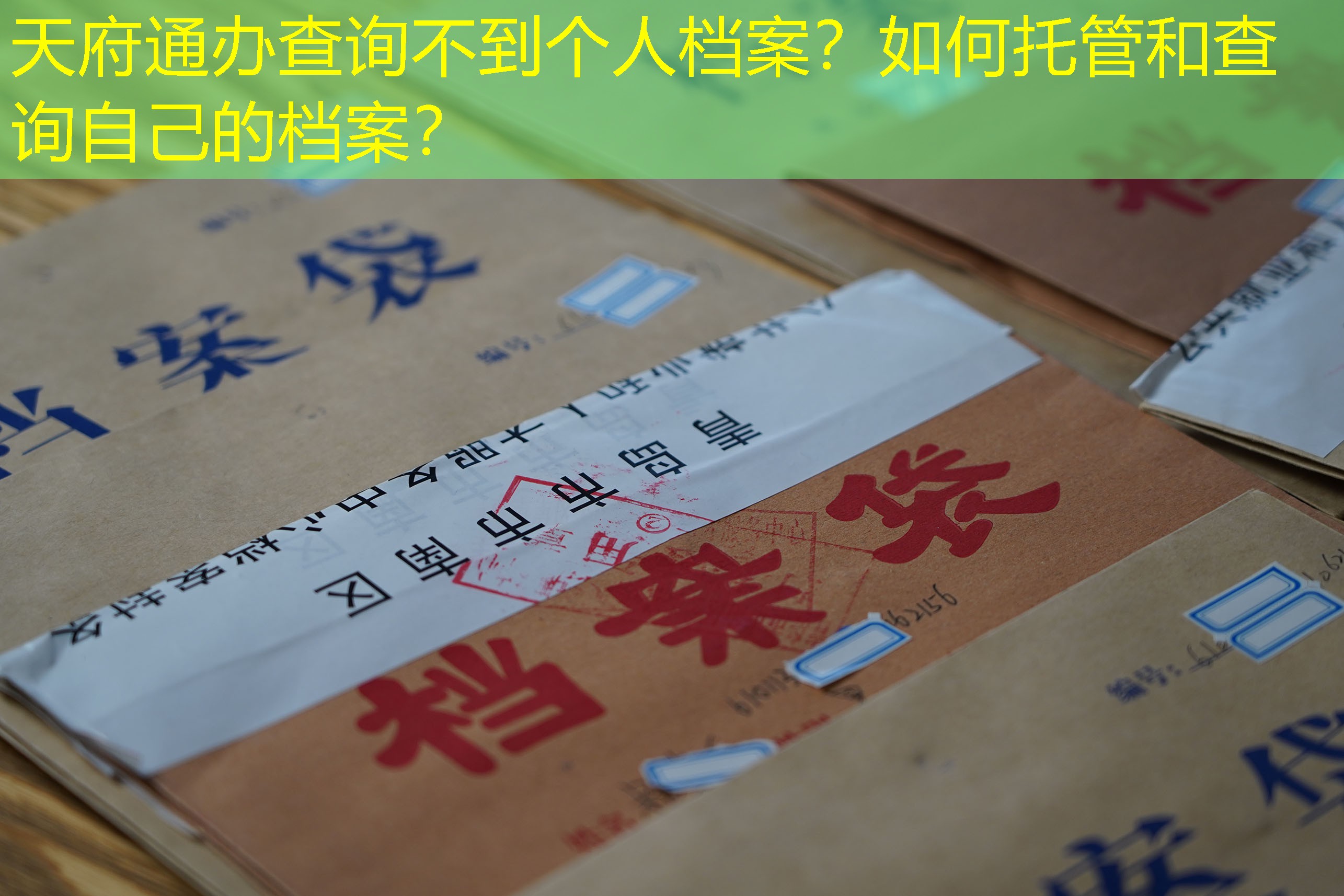 档案查询