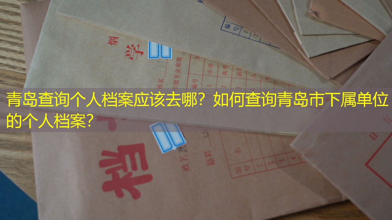 档案查询