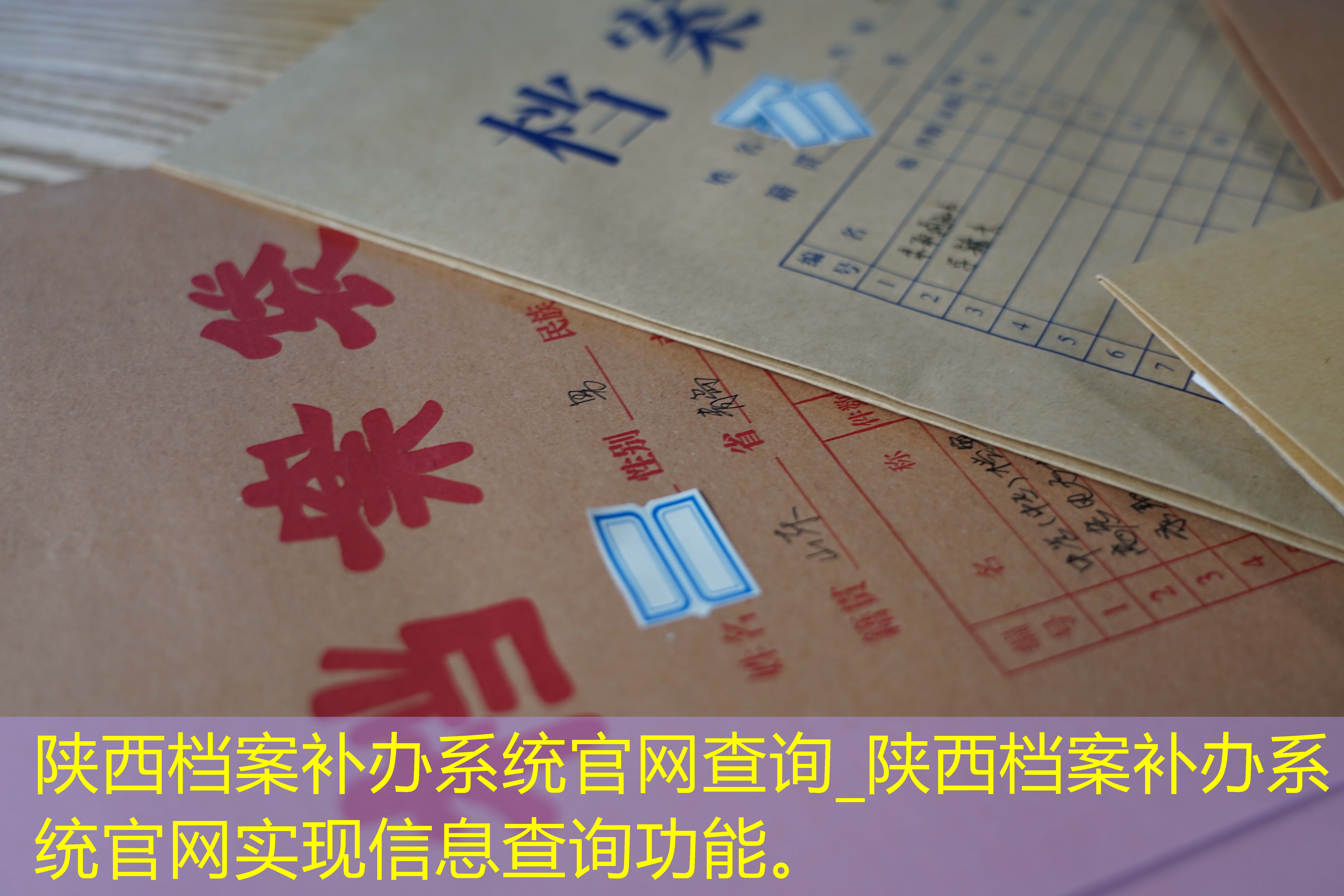档案查询