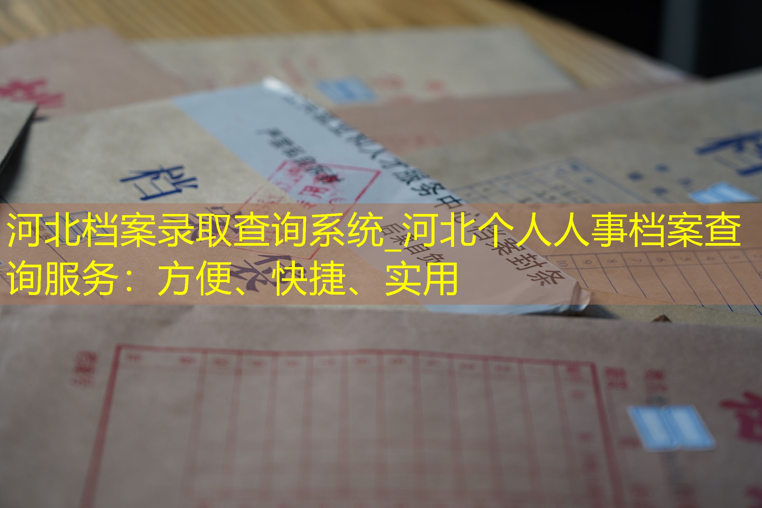 档案查询