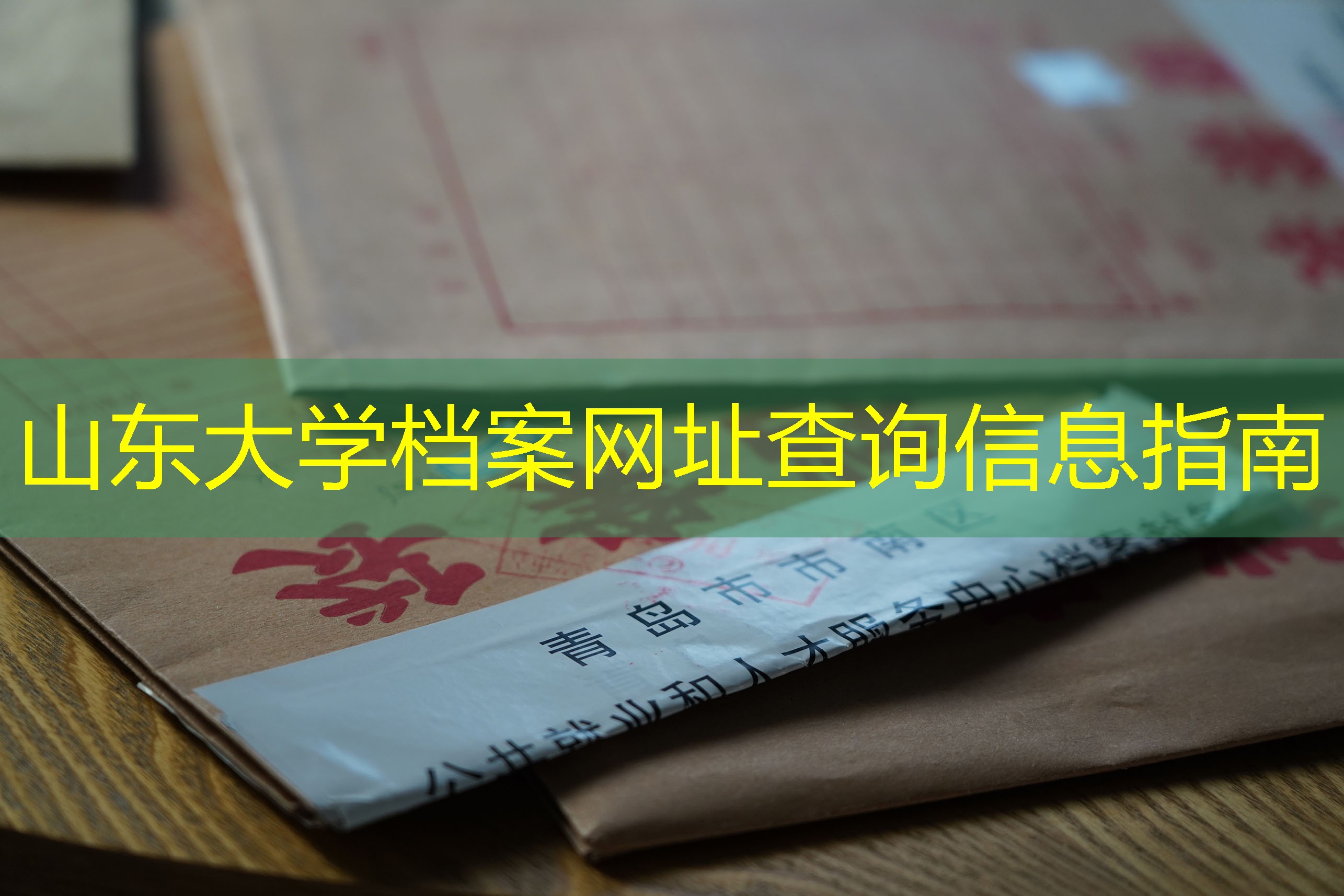 档案查询