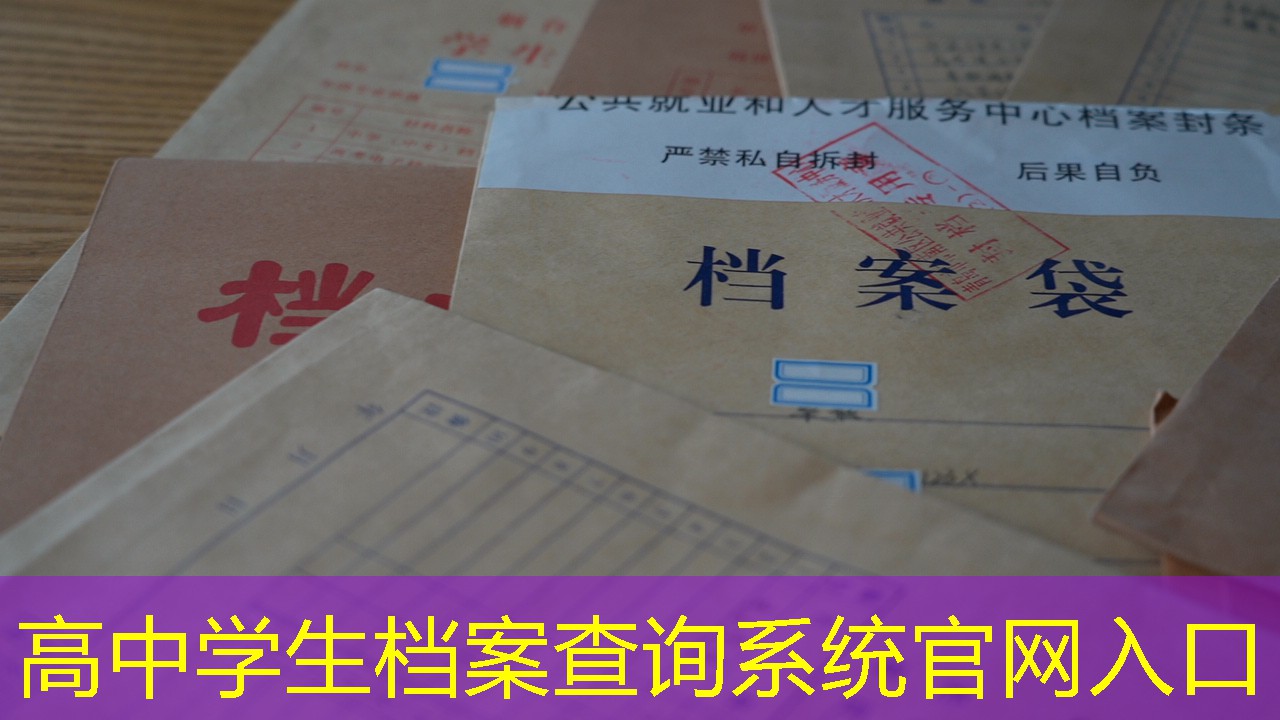 档案查询