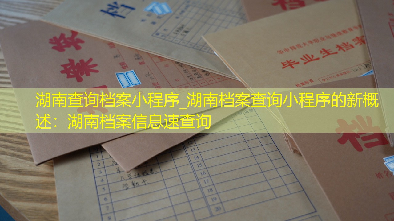 档案查询