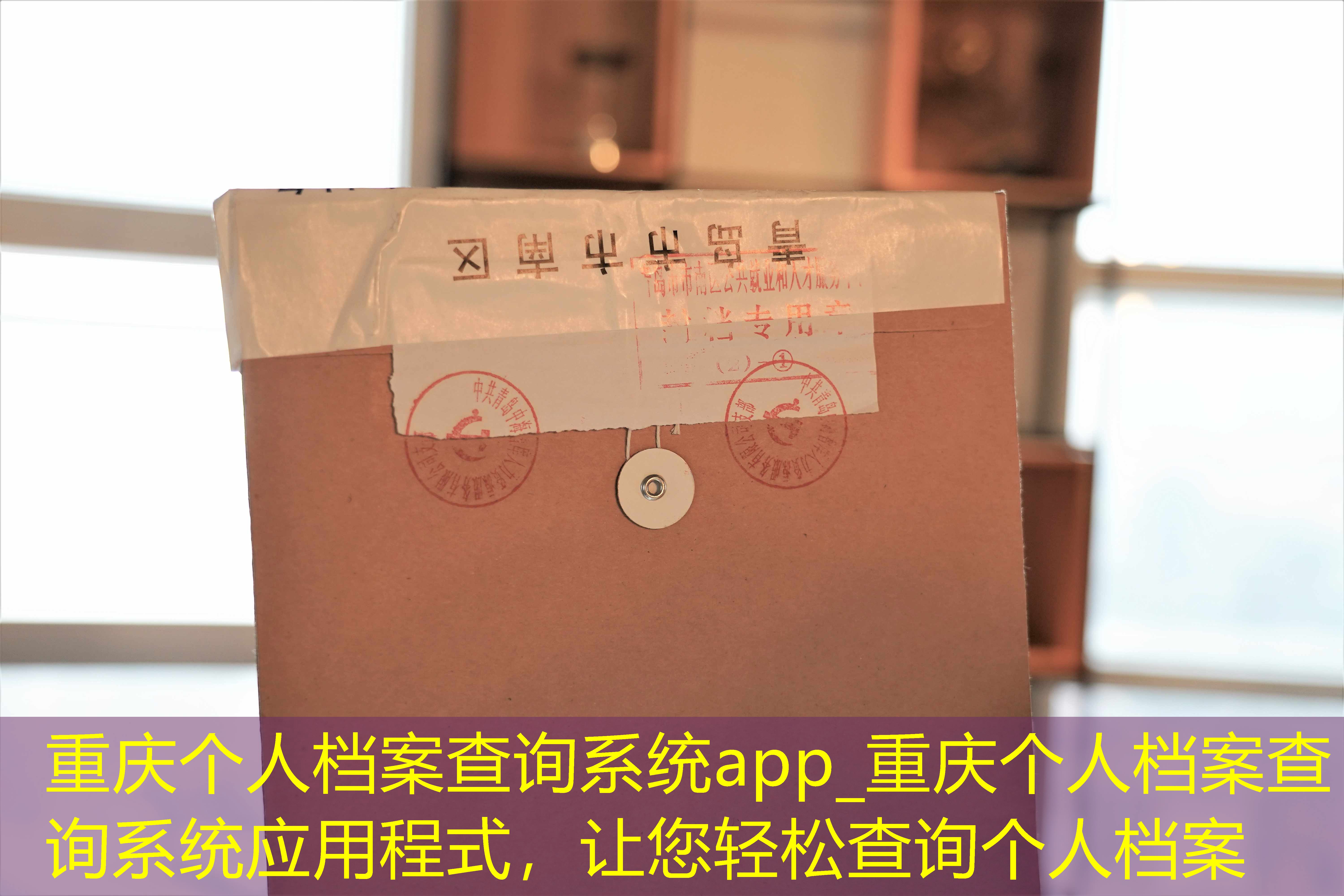 档案查询