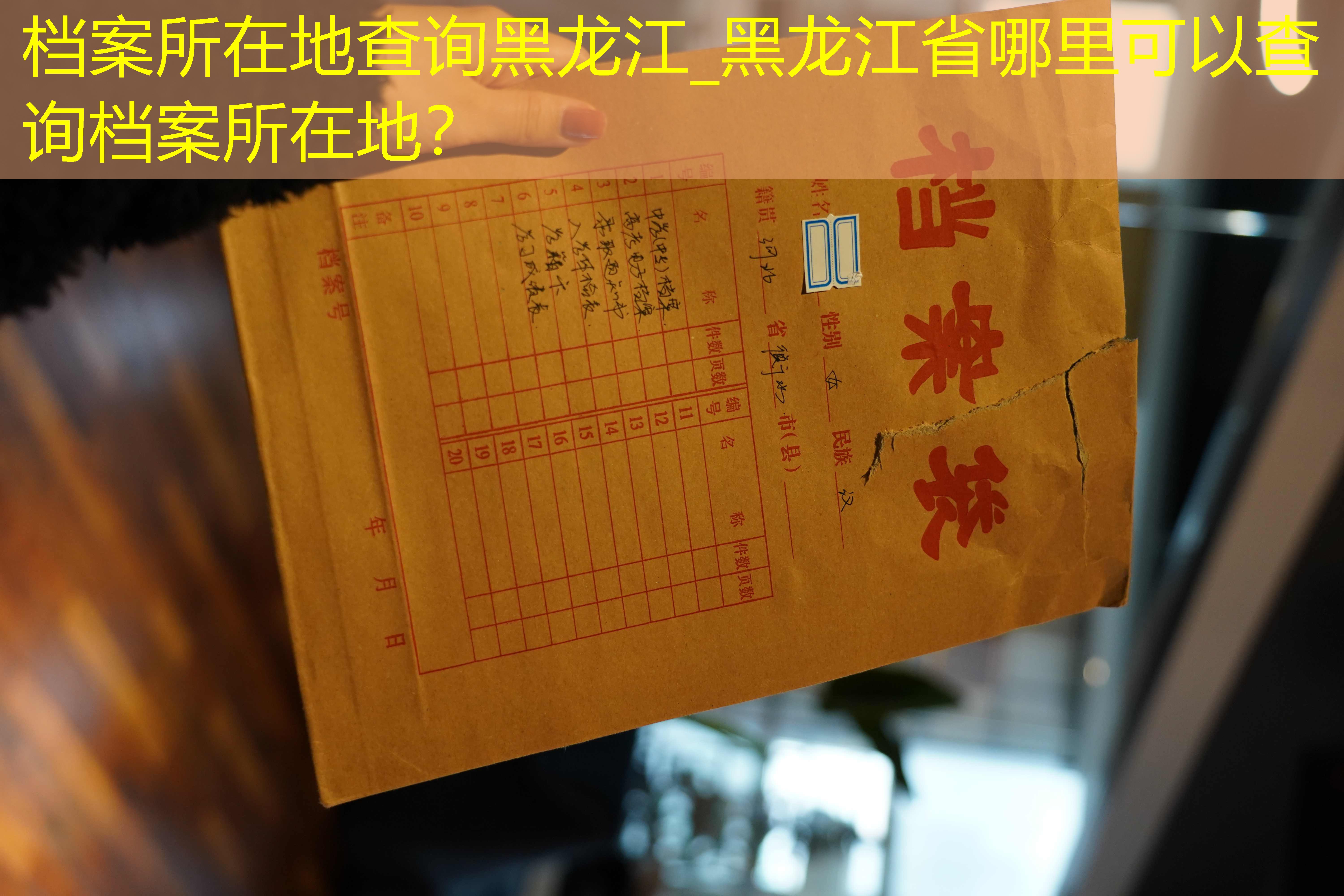 档案查询