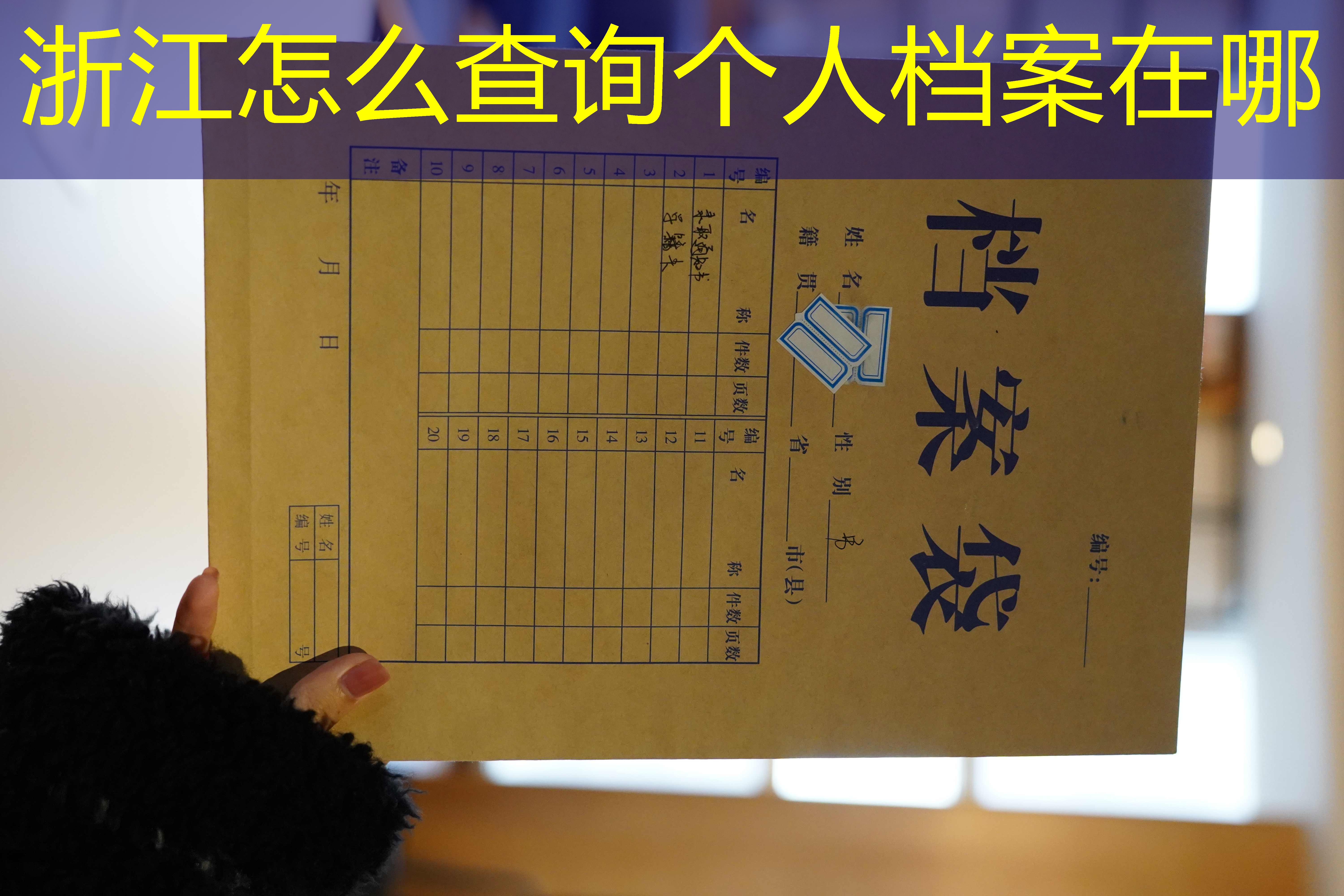档案查询