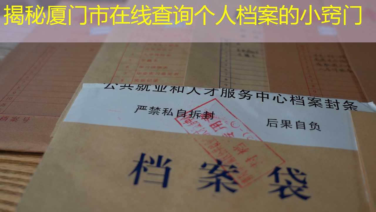 档案查询