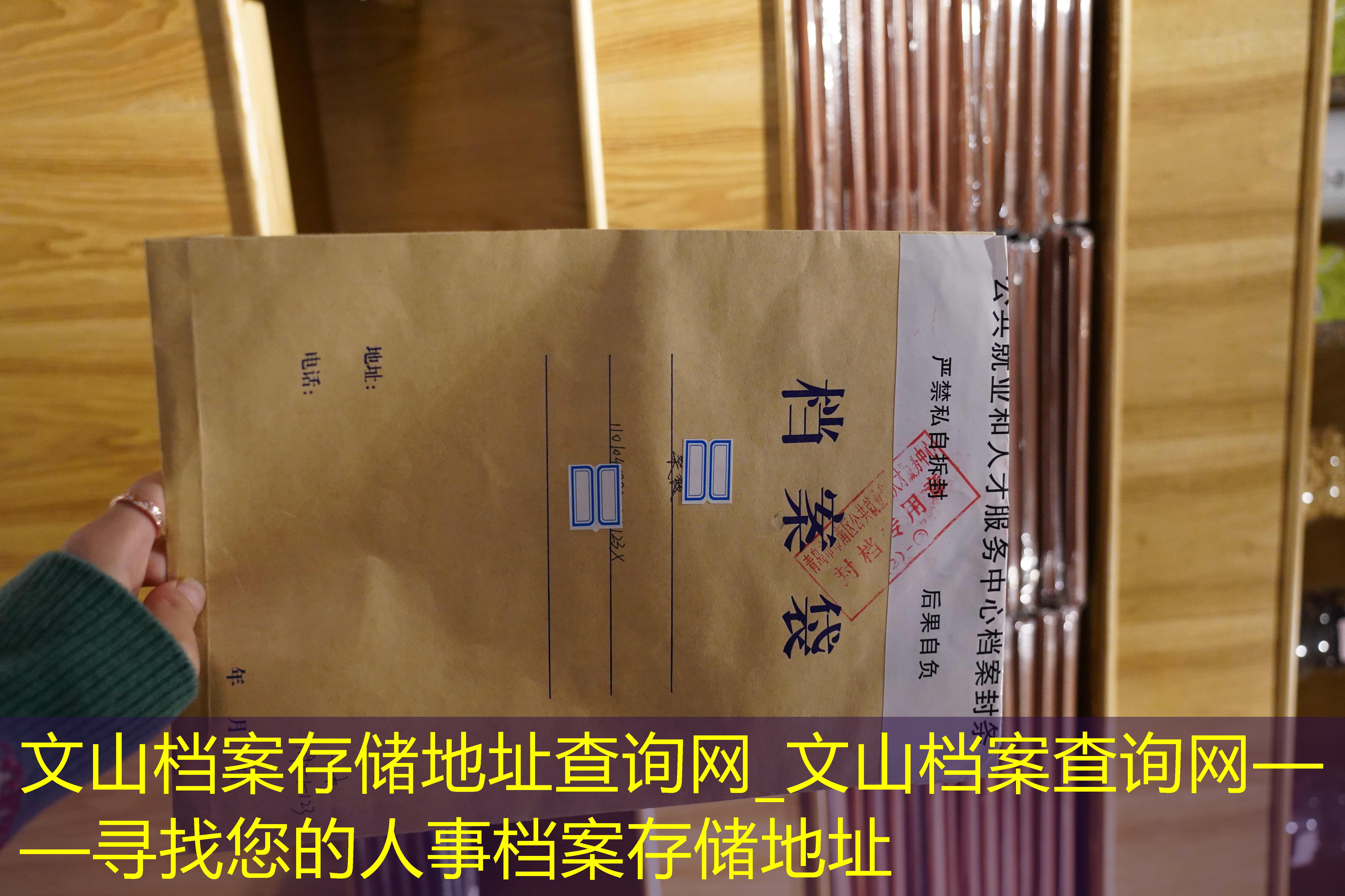 档案查询