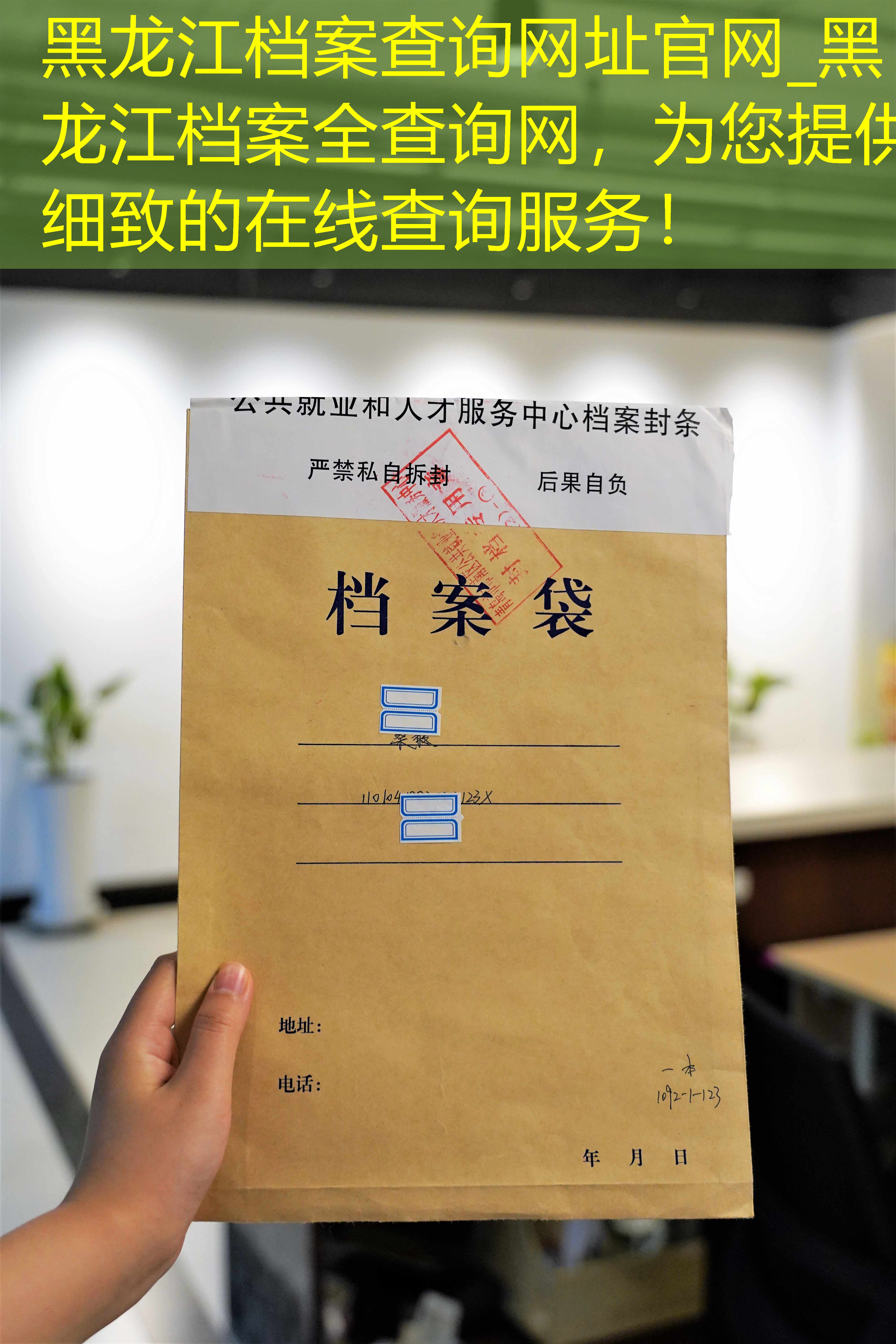 档案查询
