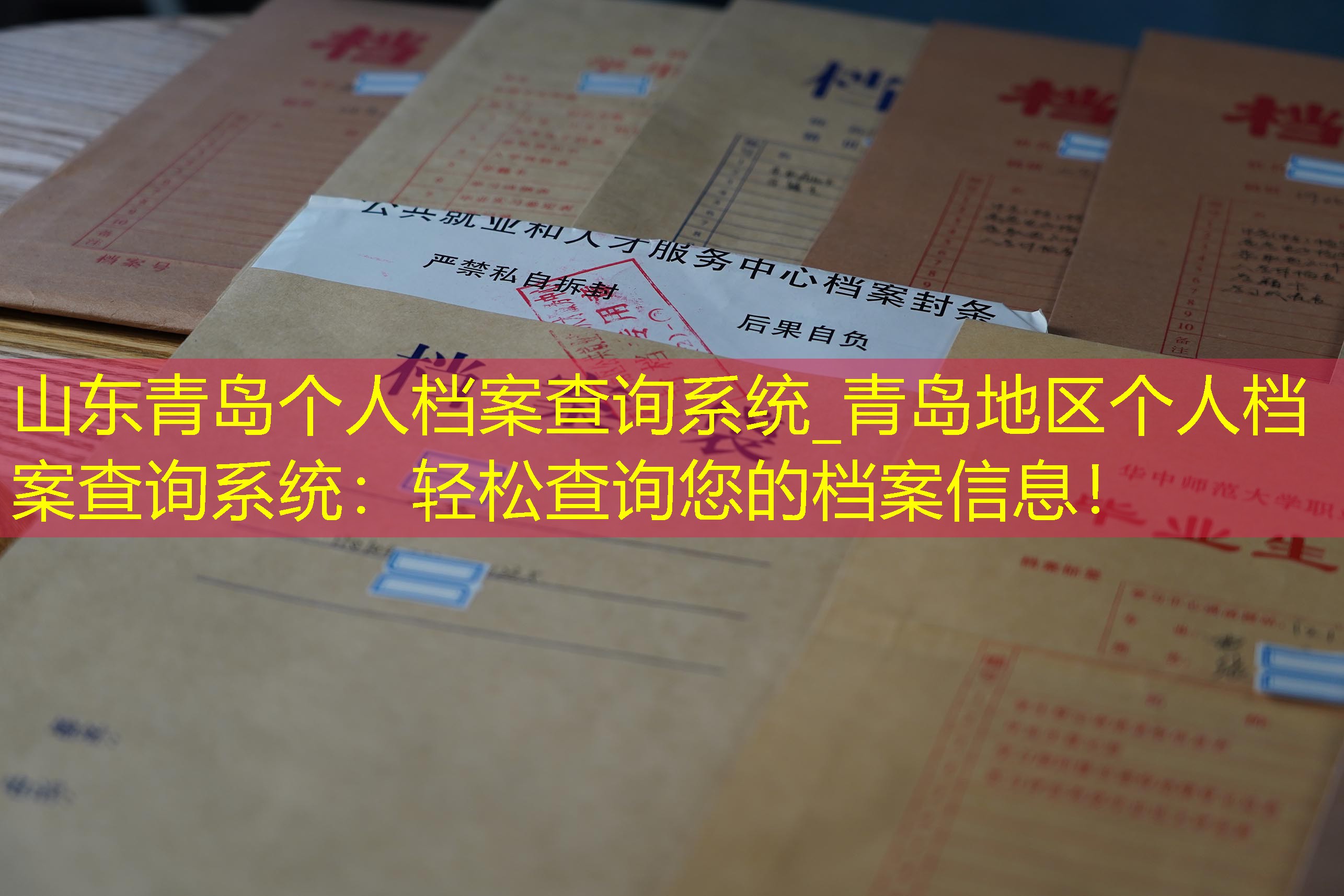 档案查询