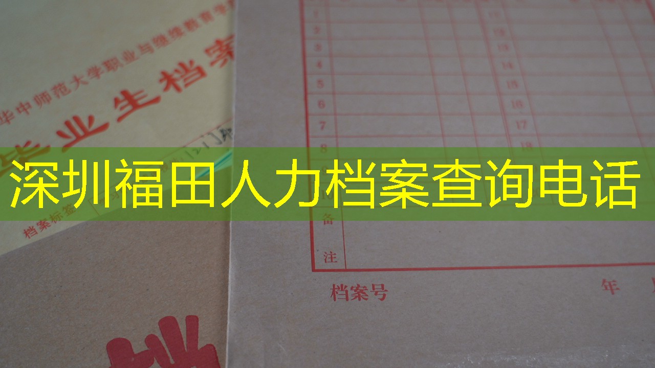 档案查询
