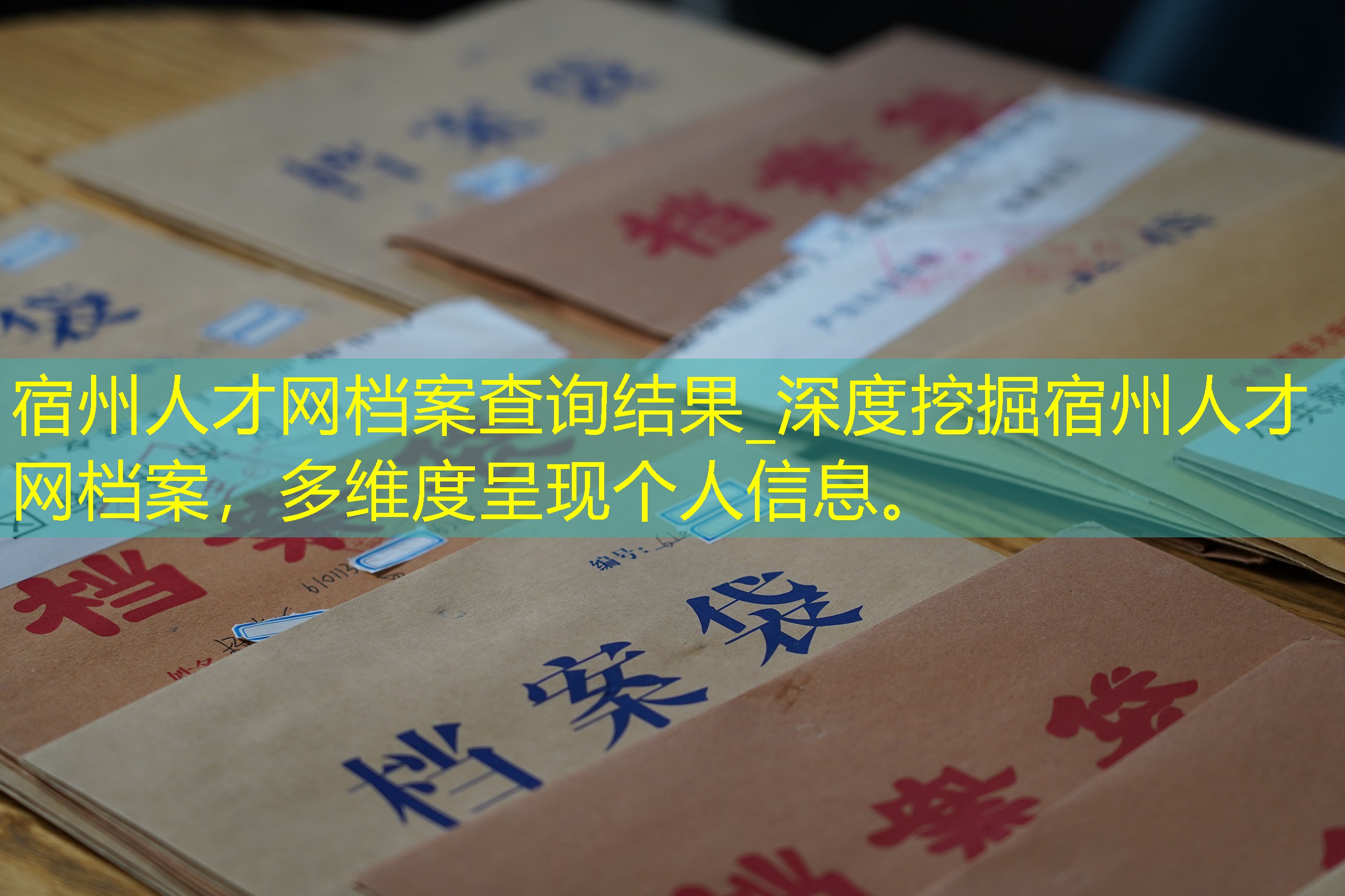档案查询