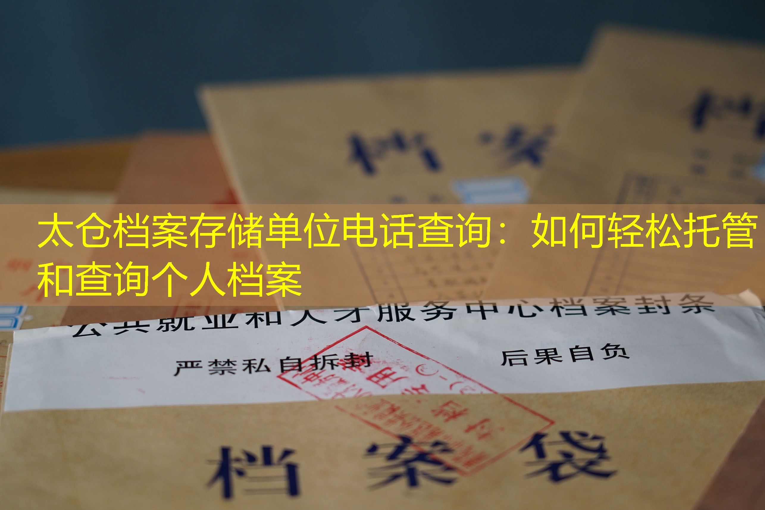 档案查询