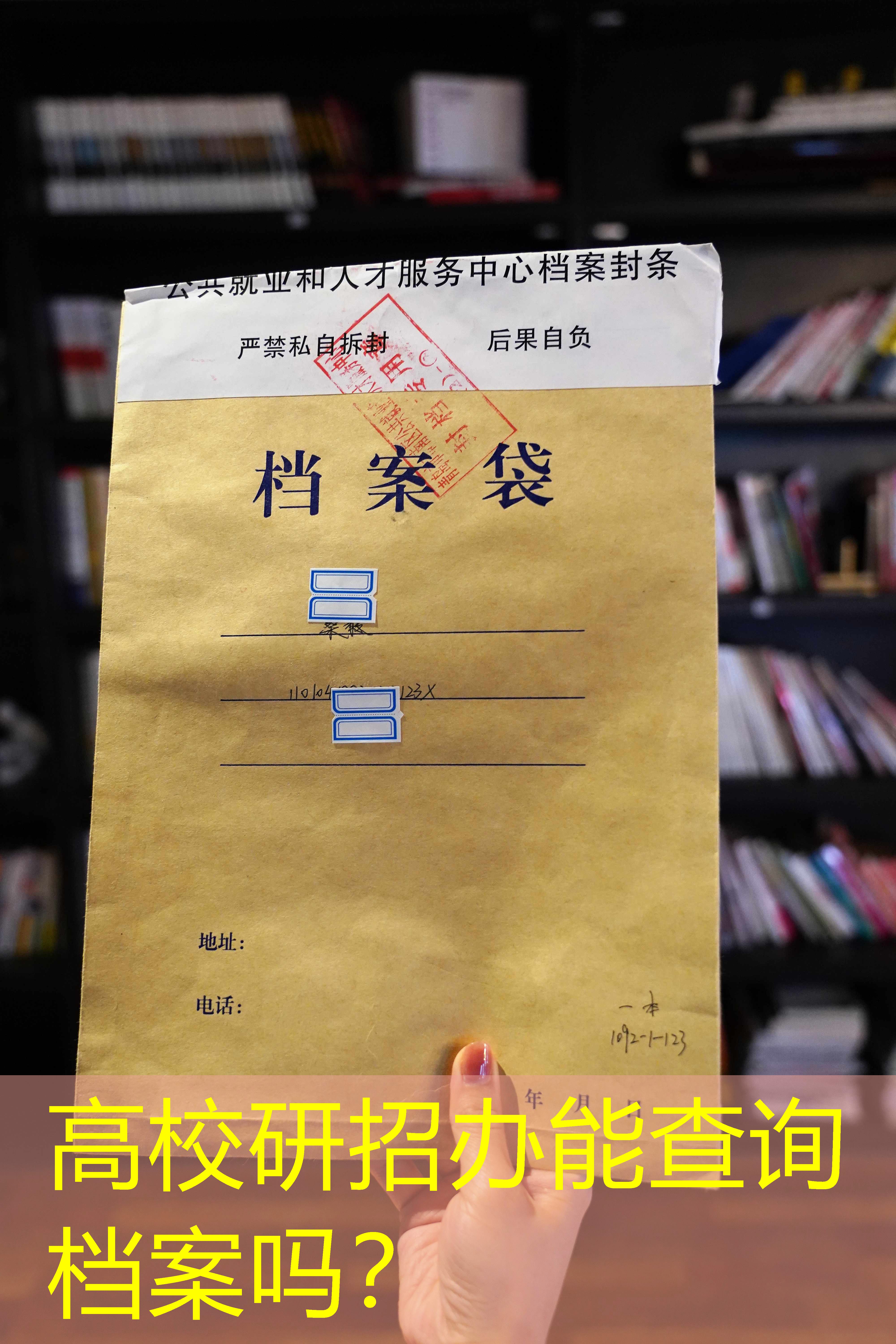 档案查询